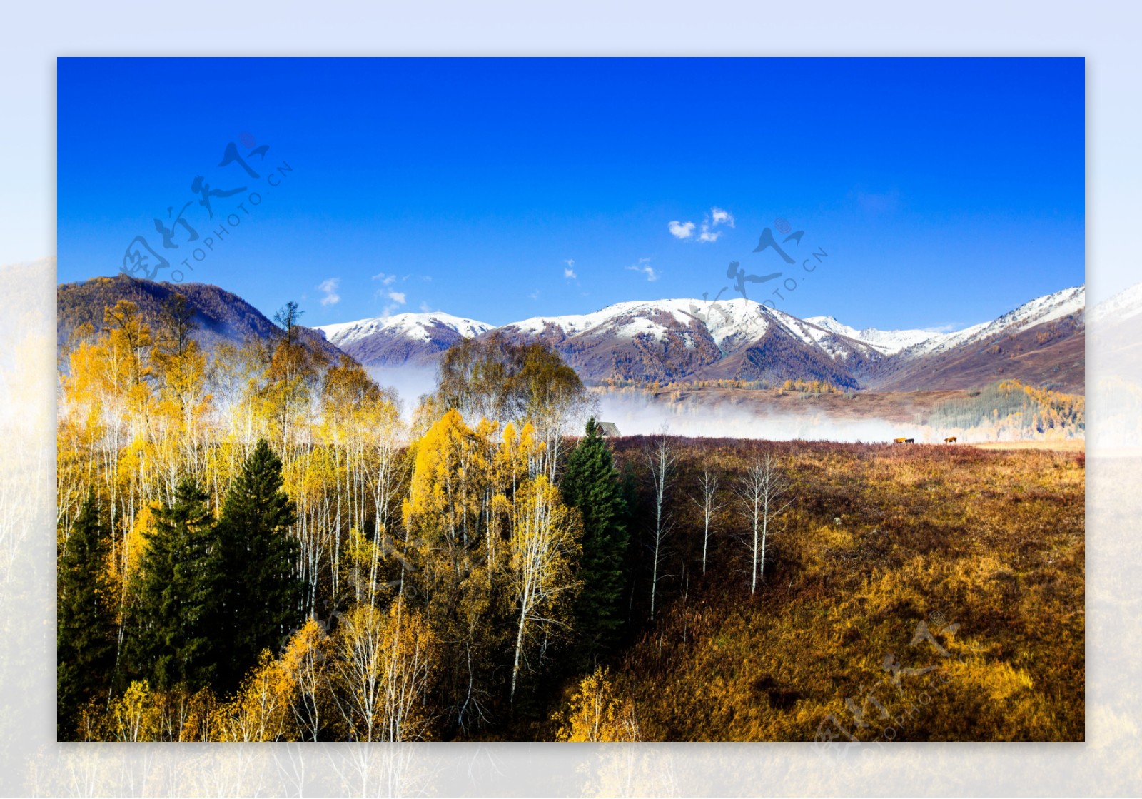 唯美的中国北疆雪山图片