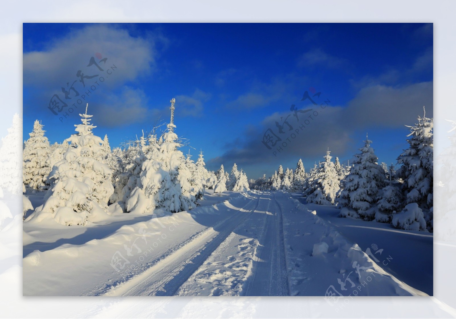 唯美冬季积雪风景图片