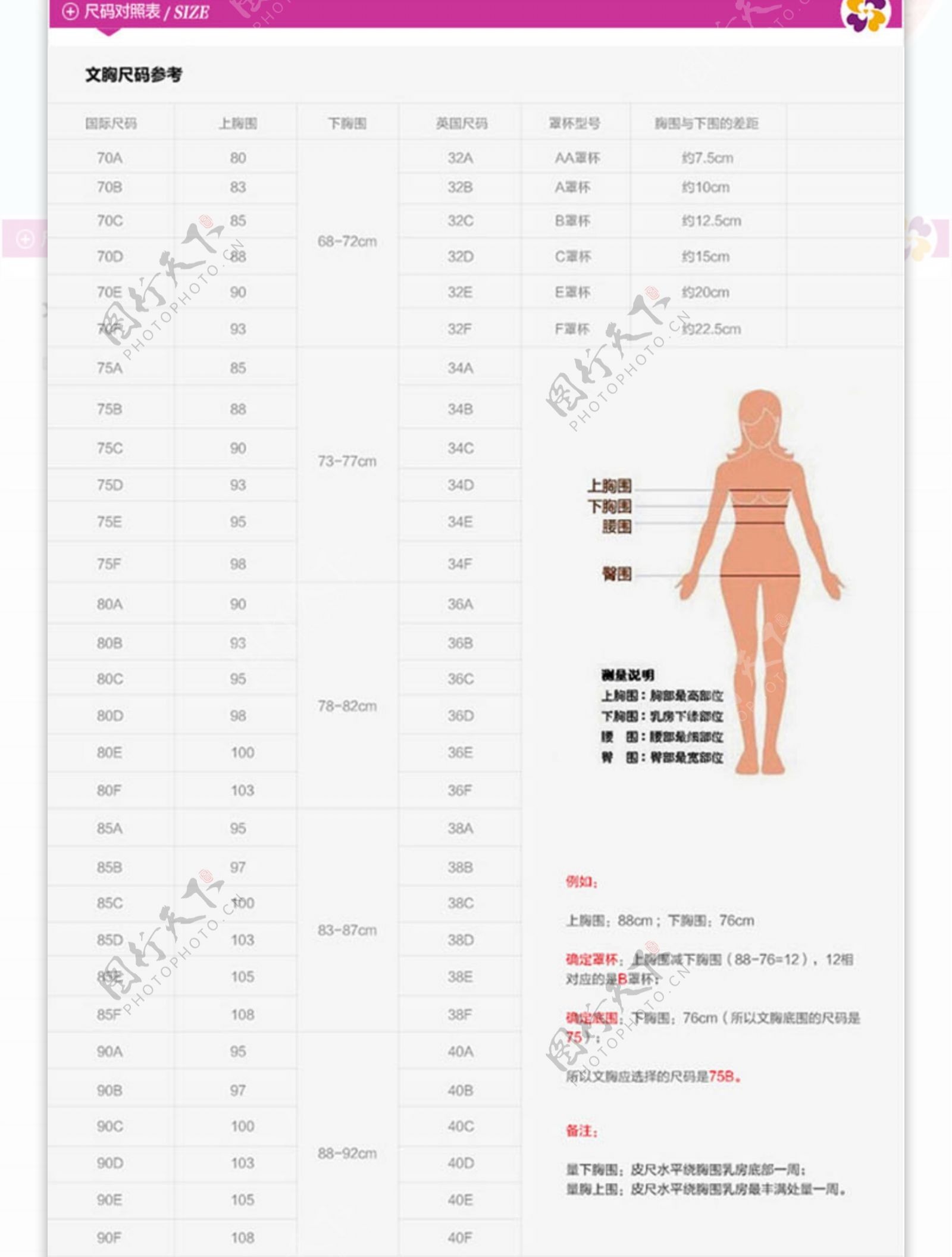 性感女士文胸内衣详情描述页胸罩文胸设计