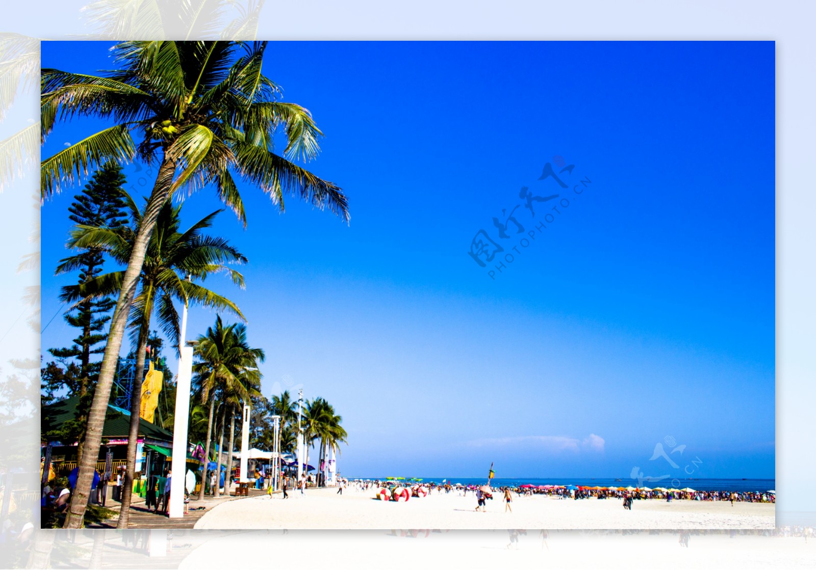 蓝天银滩椰树图片
