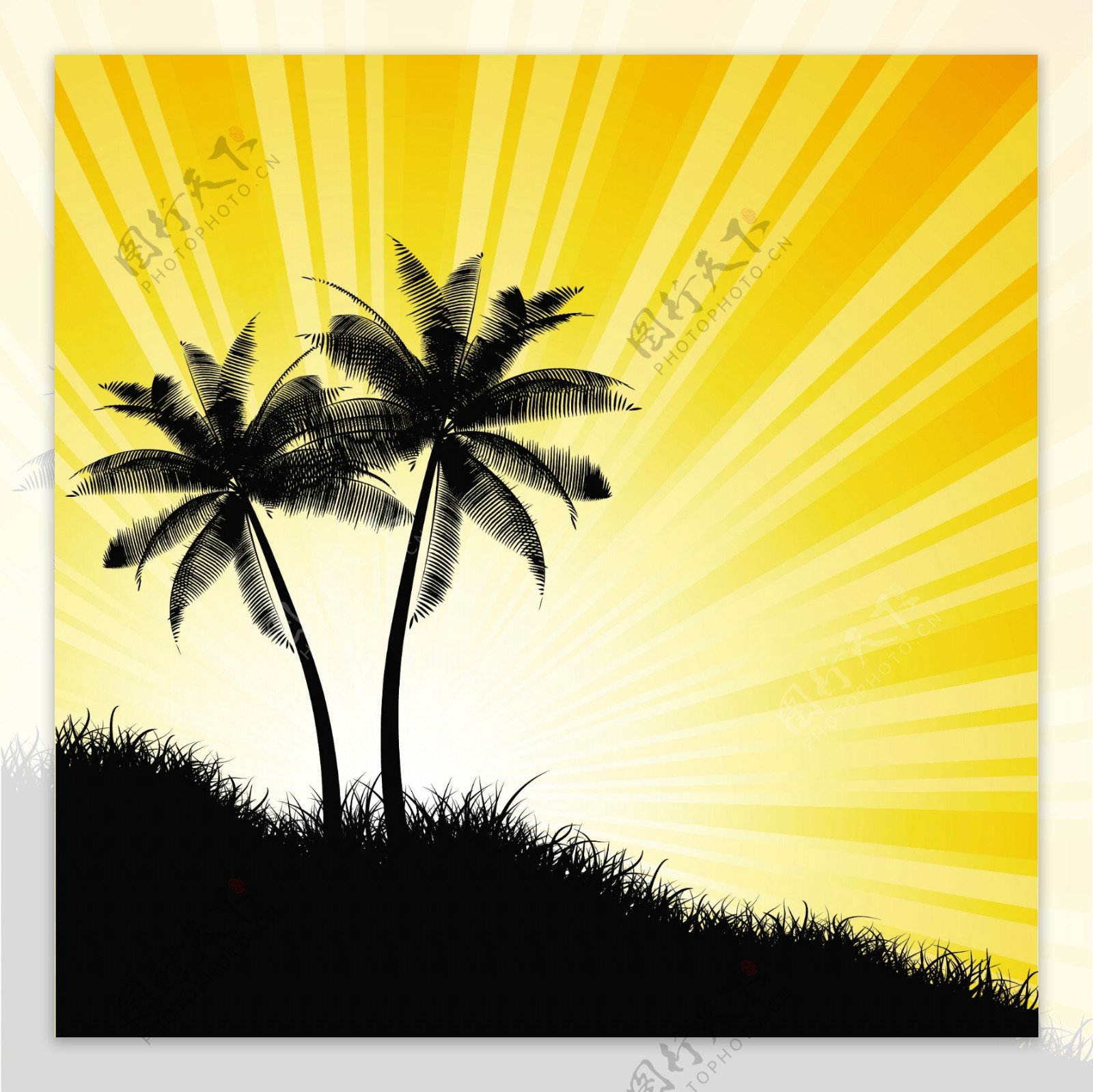 椰子树剪影黄色射光背景