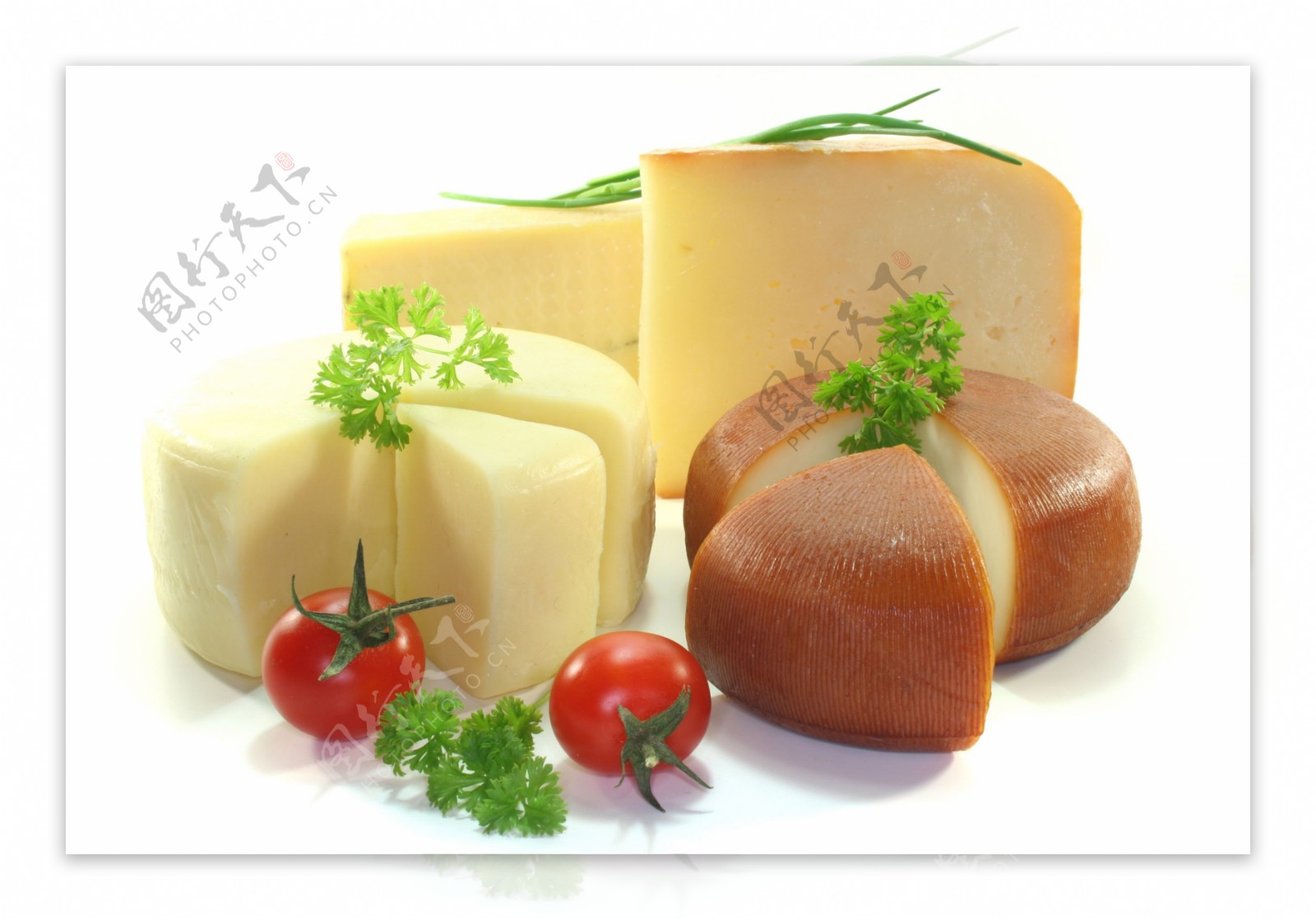 不同的奶酪产品图片