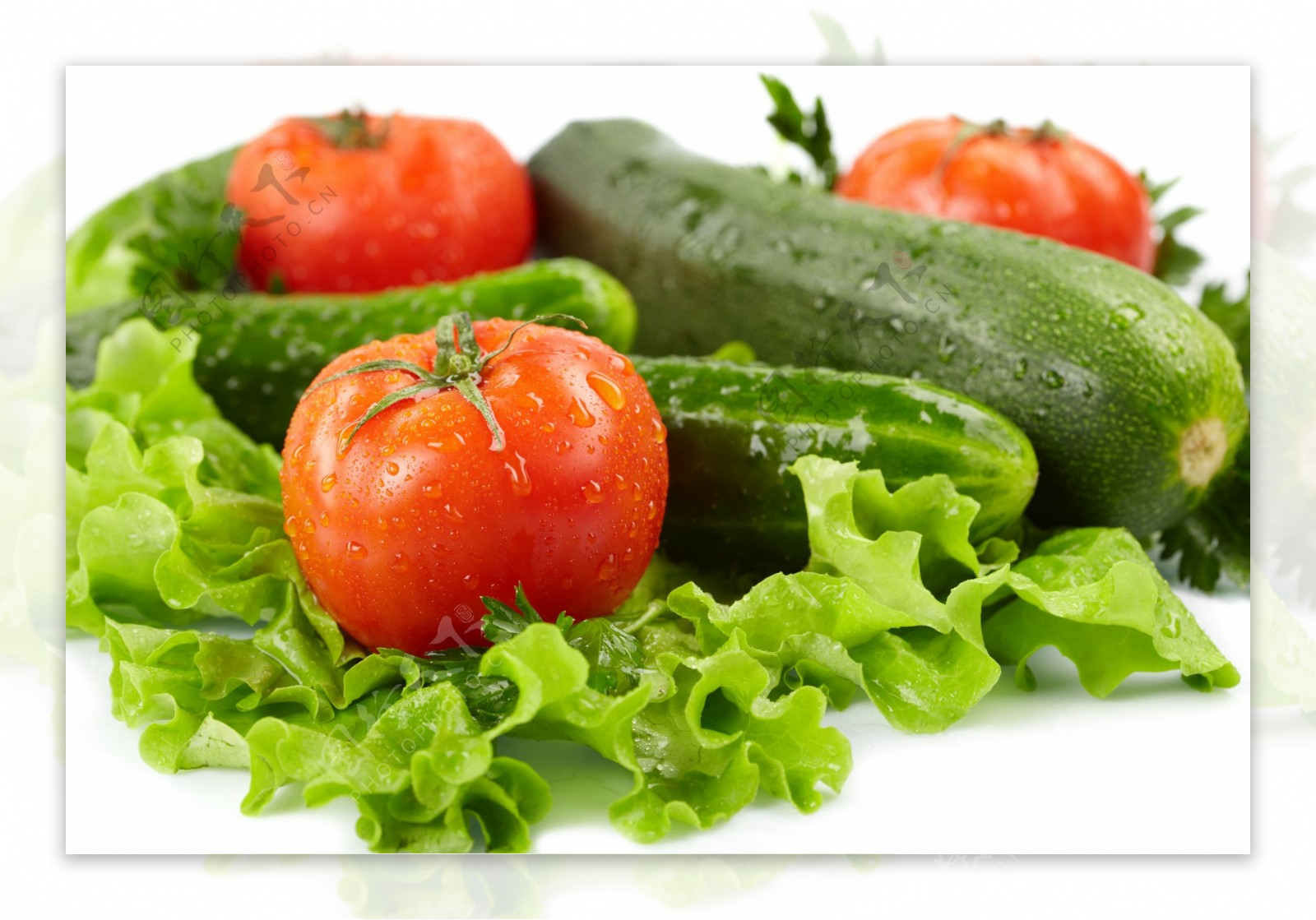 西红柿黄瓜各种蔬菜图片
