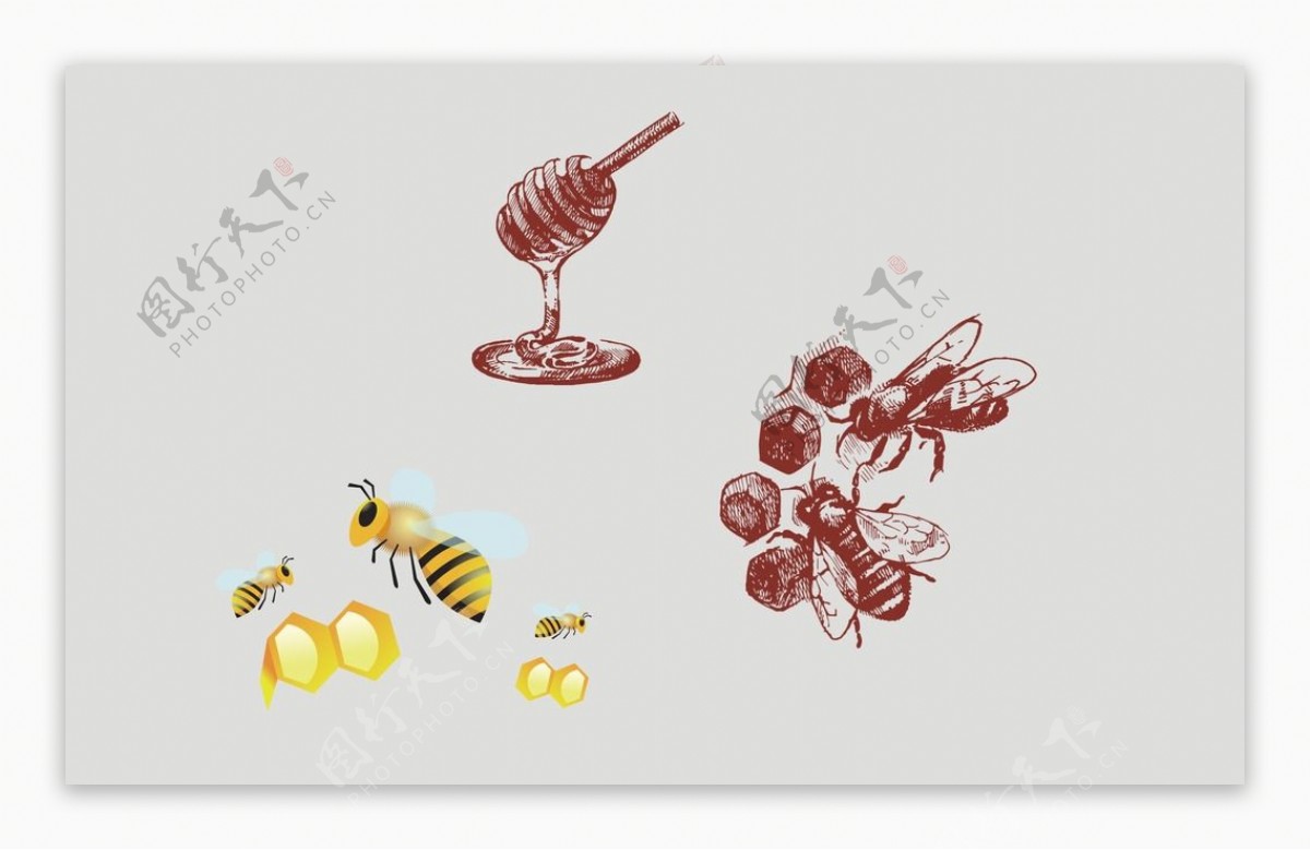 蜂蜜矢量图