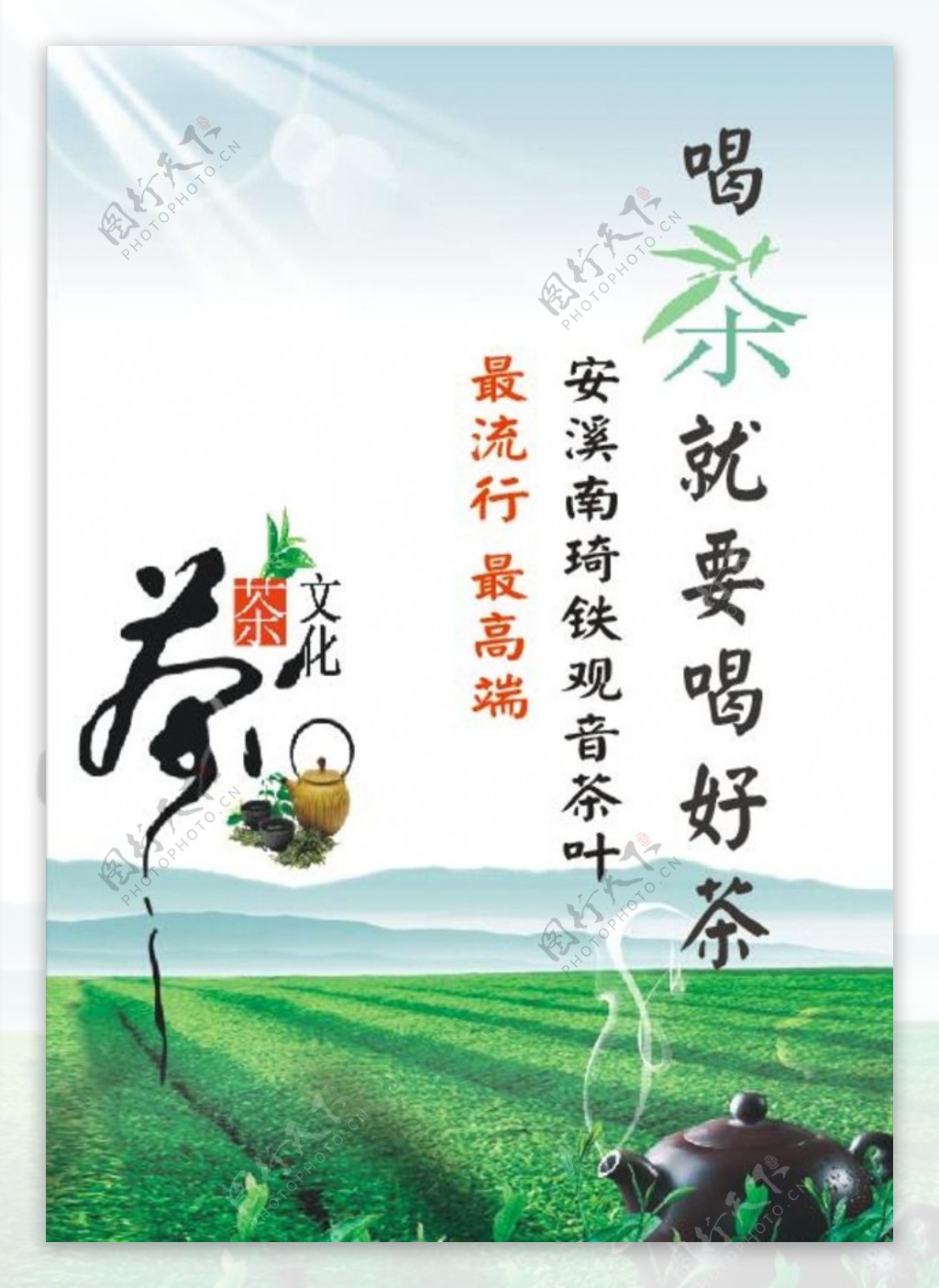 铁观音茶文化海报