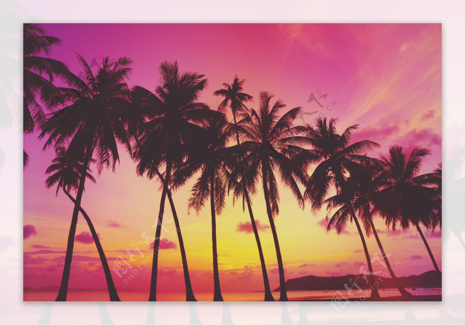 椰子树晚霞海边风景图片