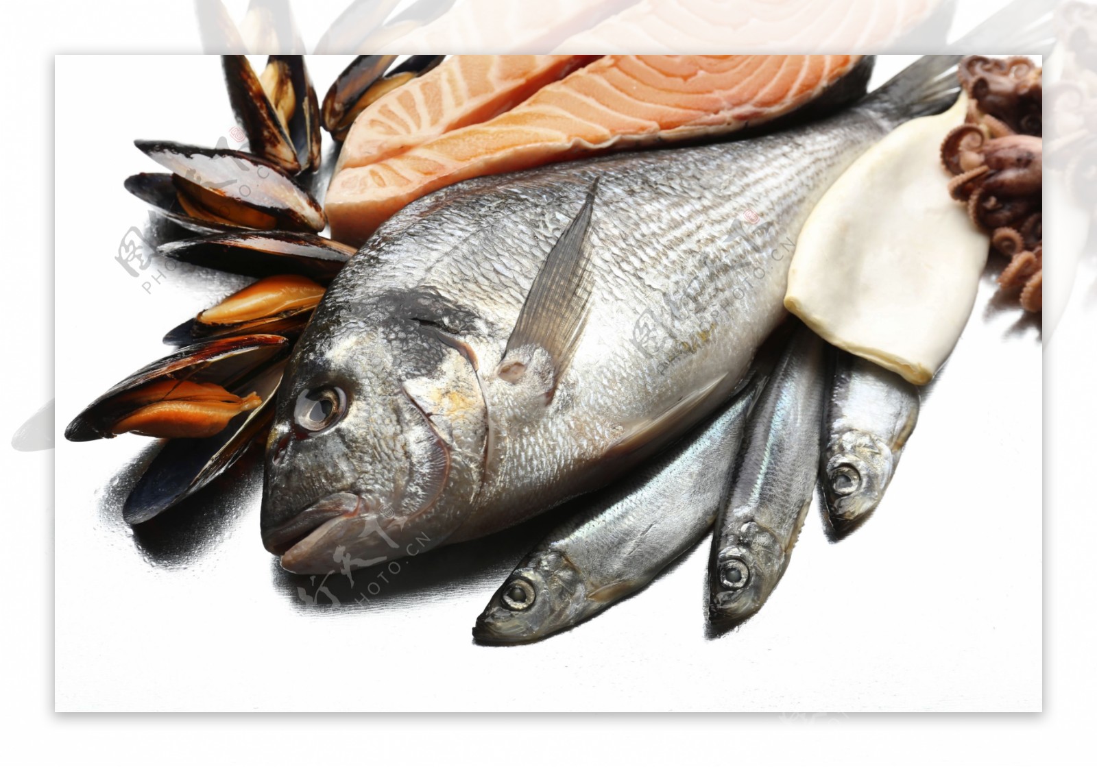 淡菜与海鱼图片