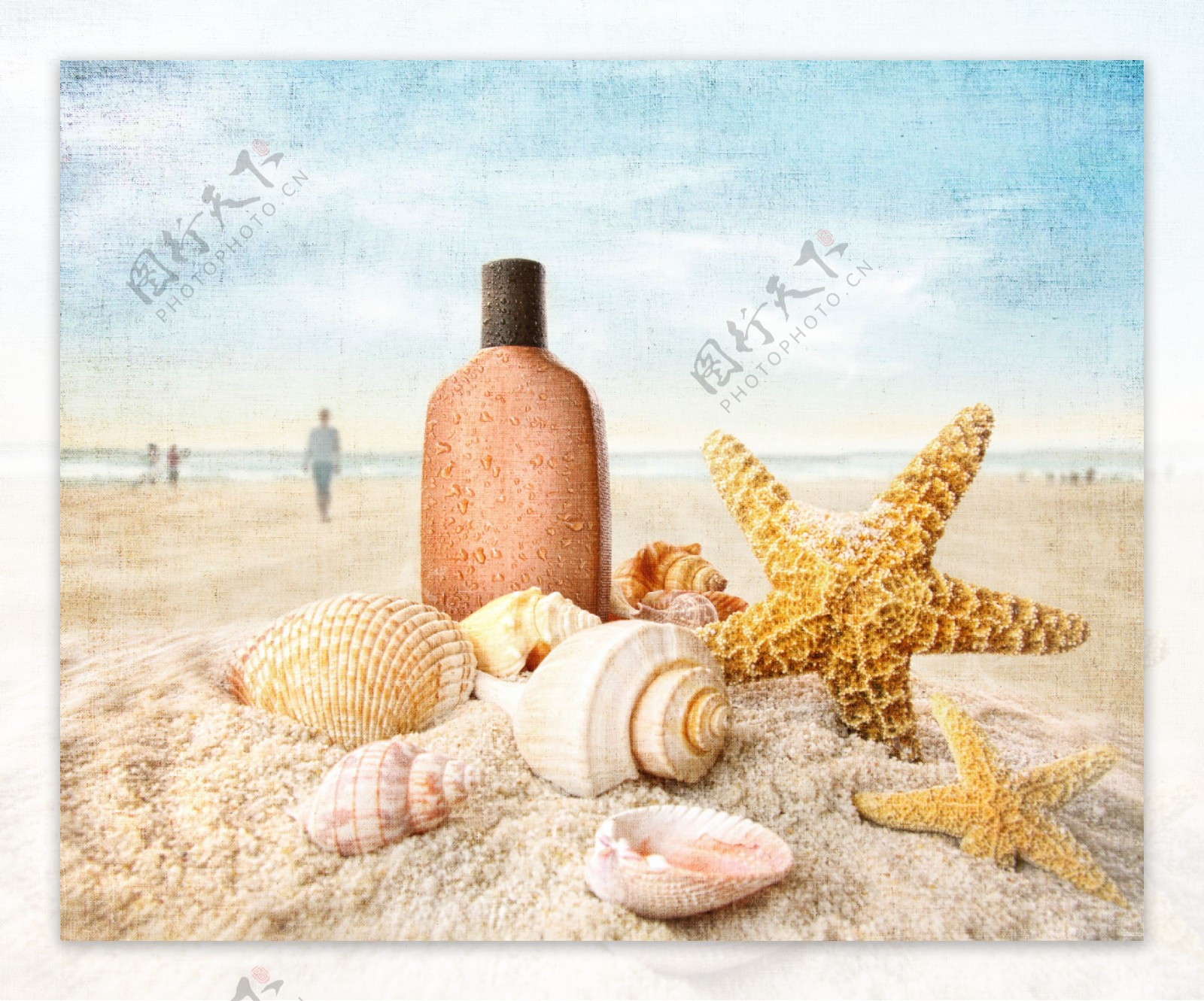 海星海螺沙子图片