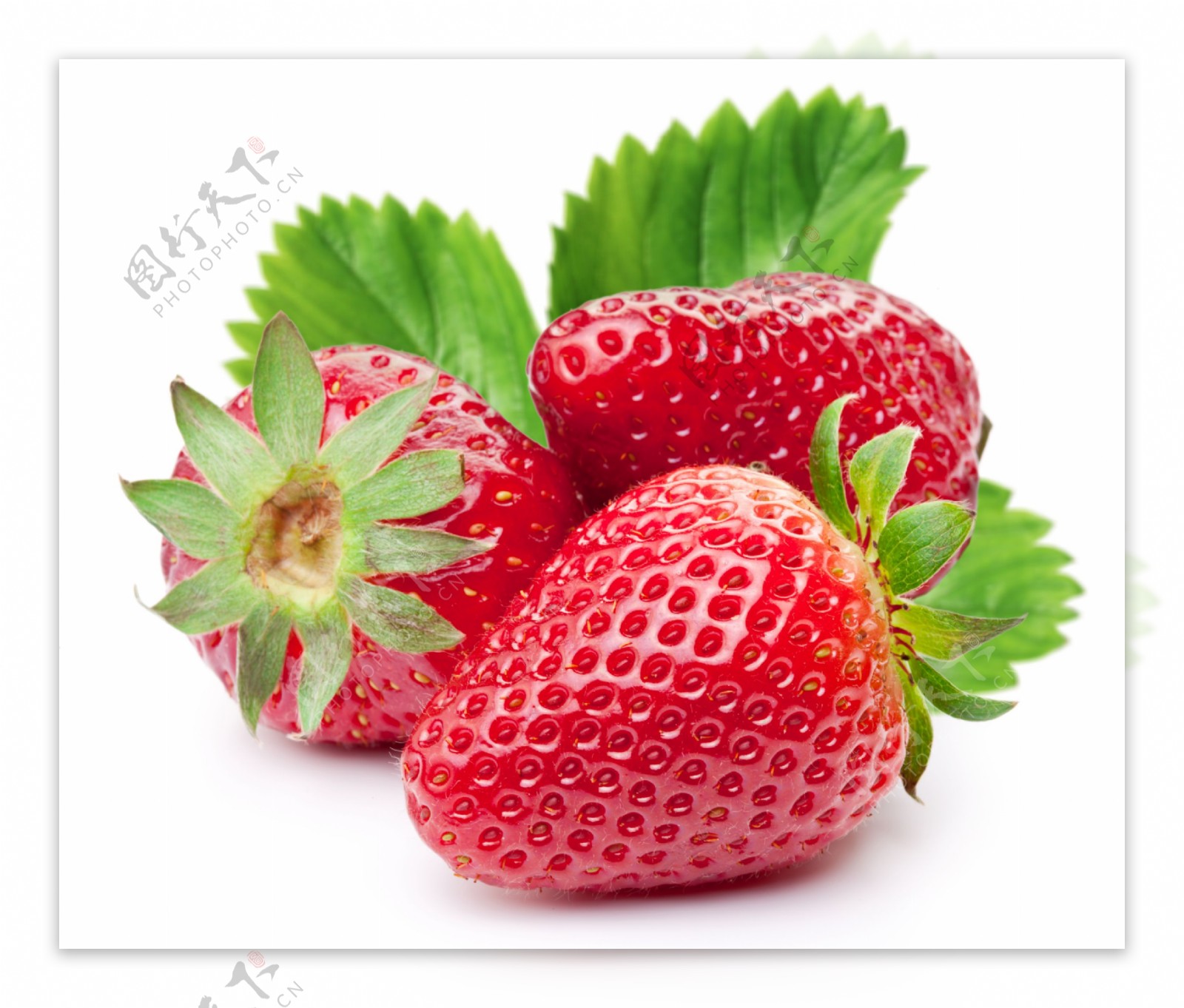草莓印是什么,脖子上草莓印图片,新手吸草莓印(第3页)_大山谷图库
