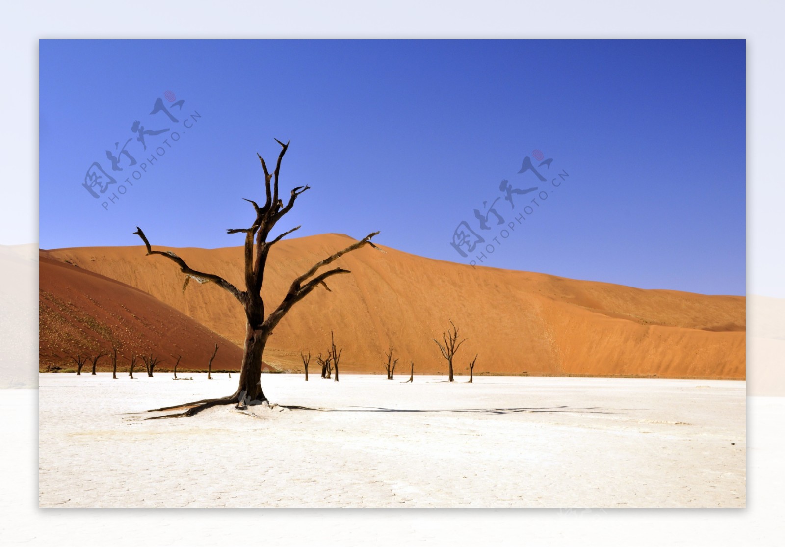 荒凉沙漠景观高清图片