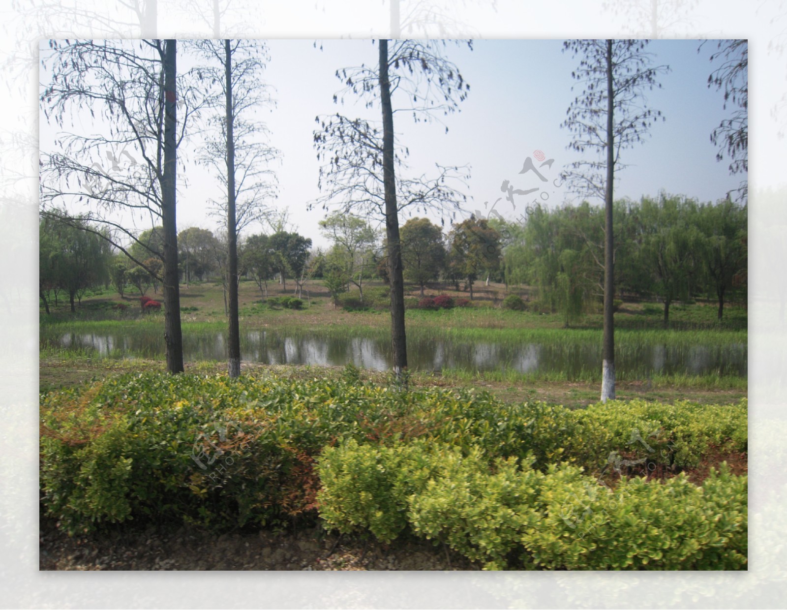 太湖湿地公园图片