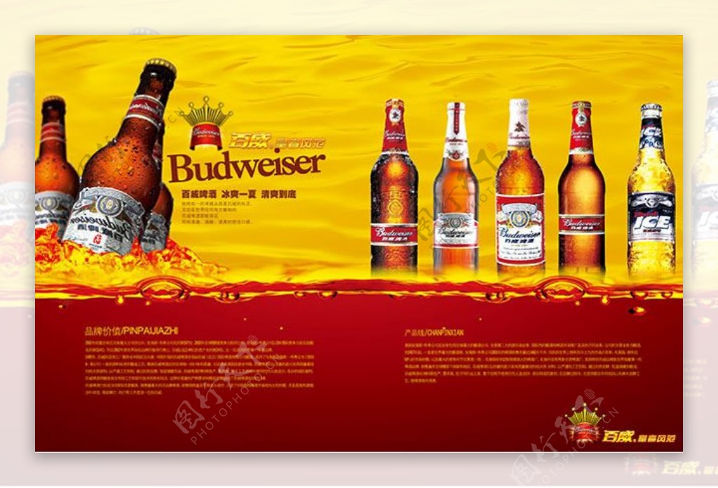 啤酒宣传海报模板