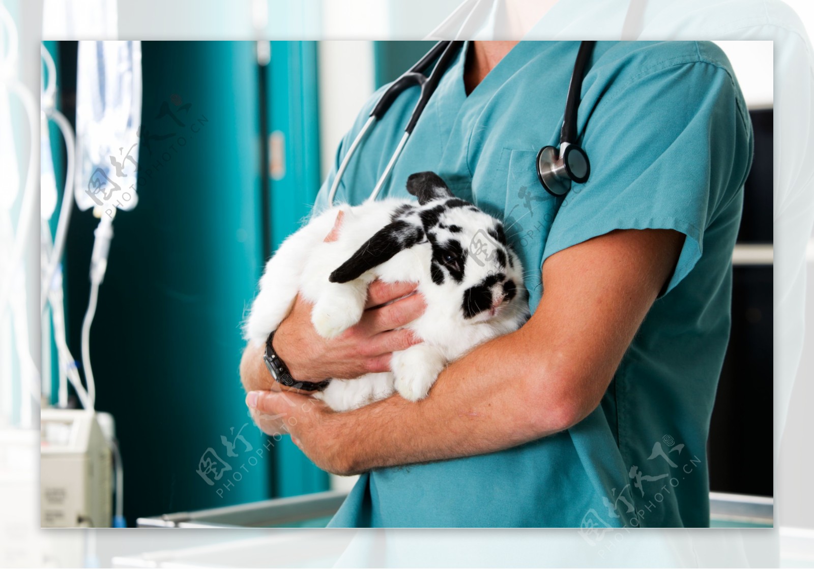 抱着小兔子的医生