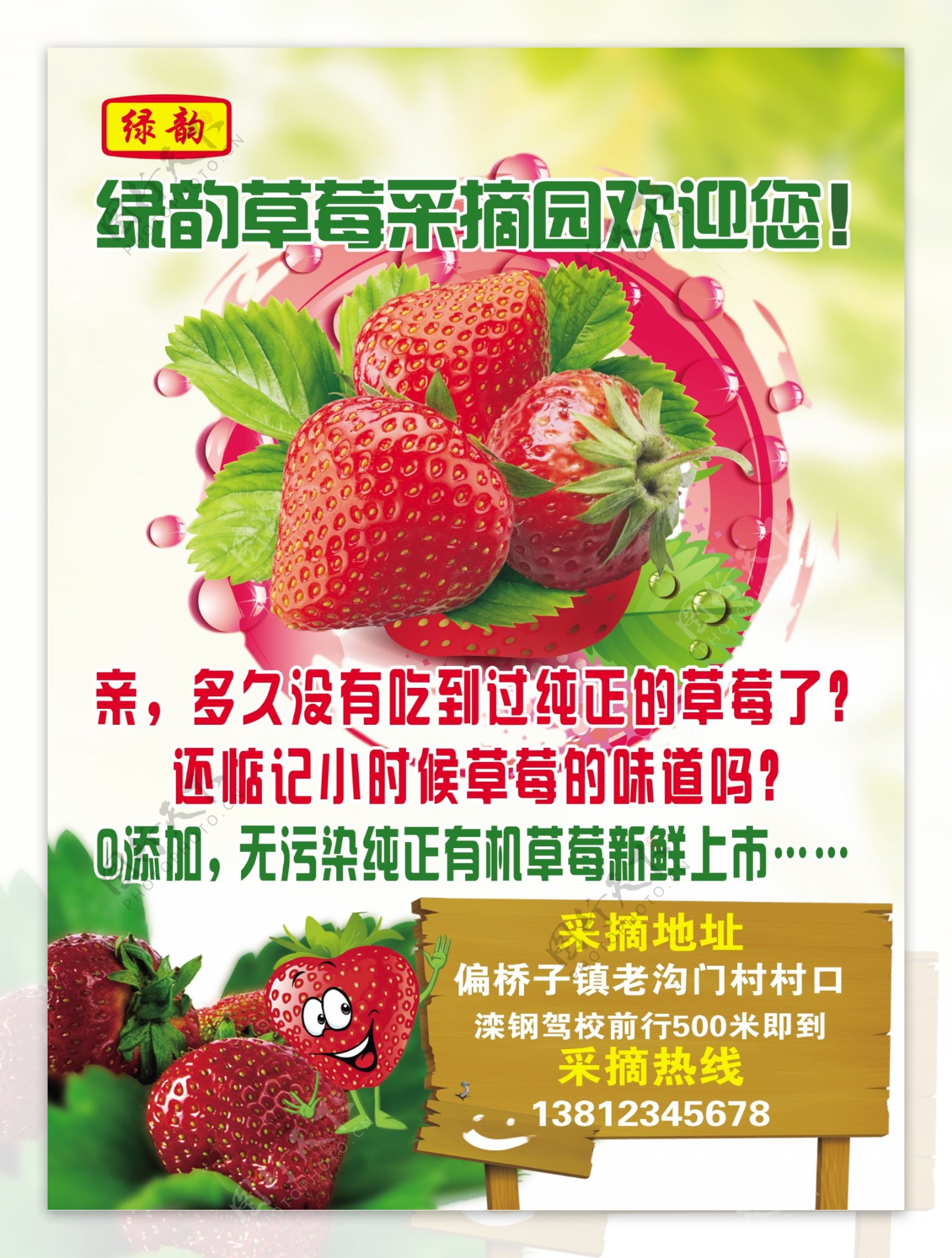 草莓采摘宣传单