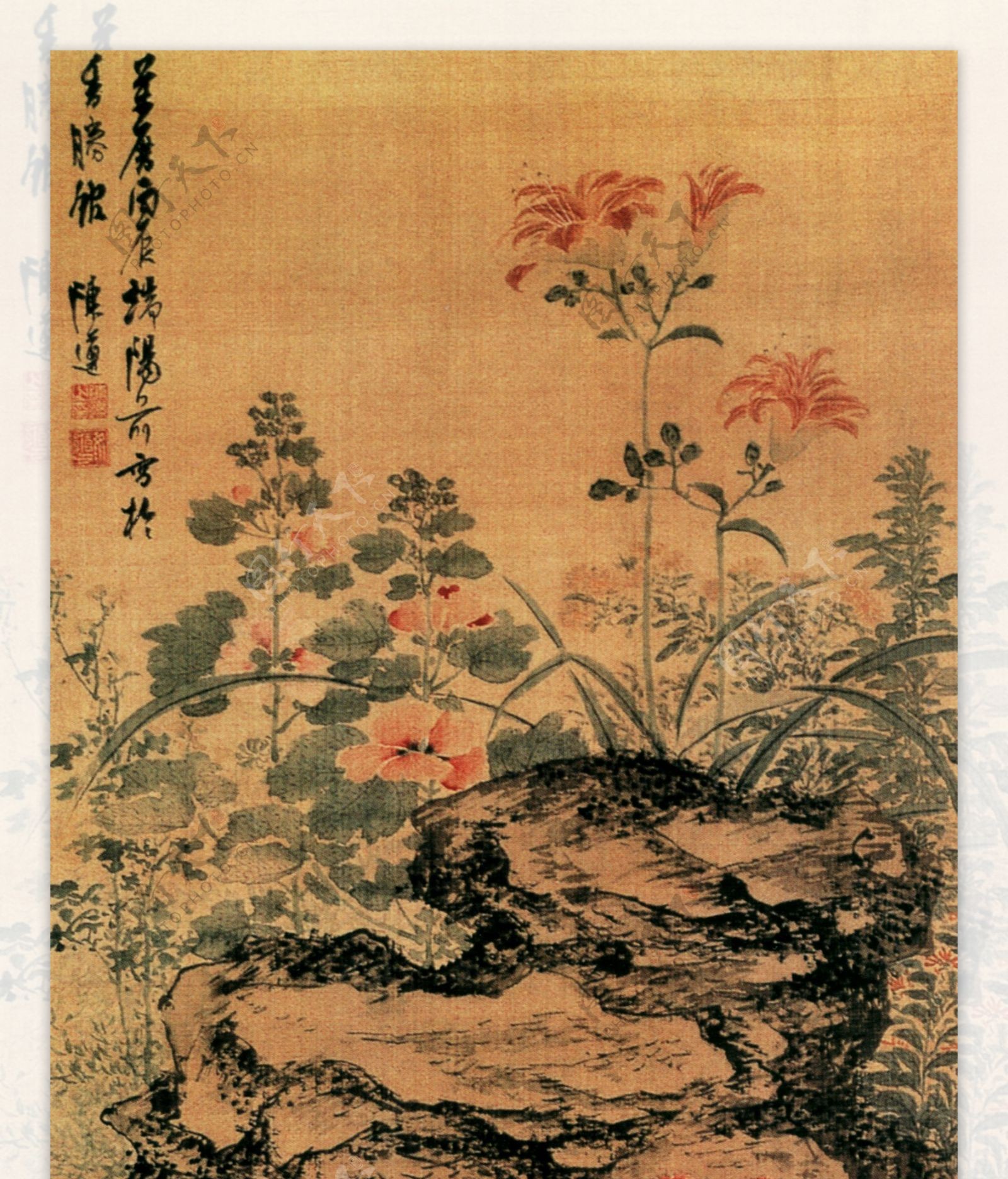 花卉图花鸟画中国古画0307