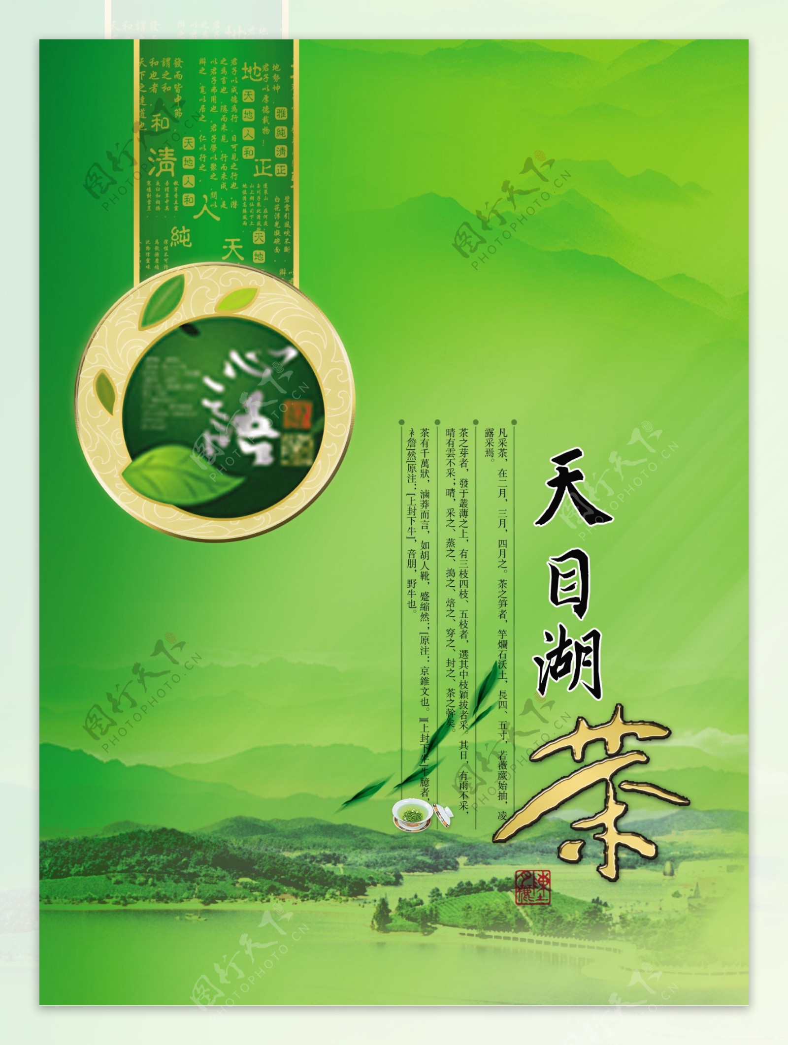 天目湖茶叶包装