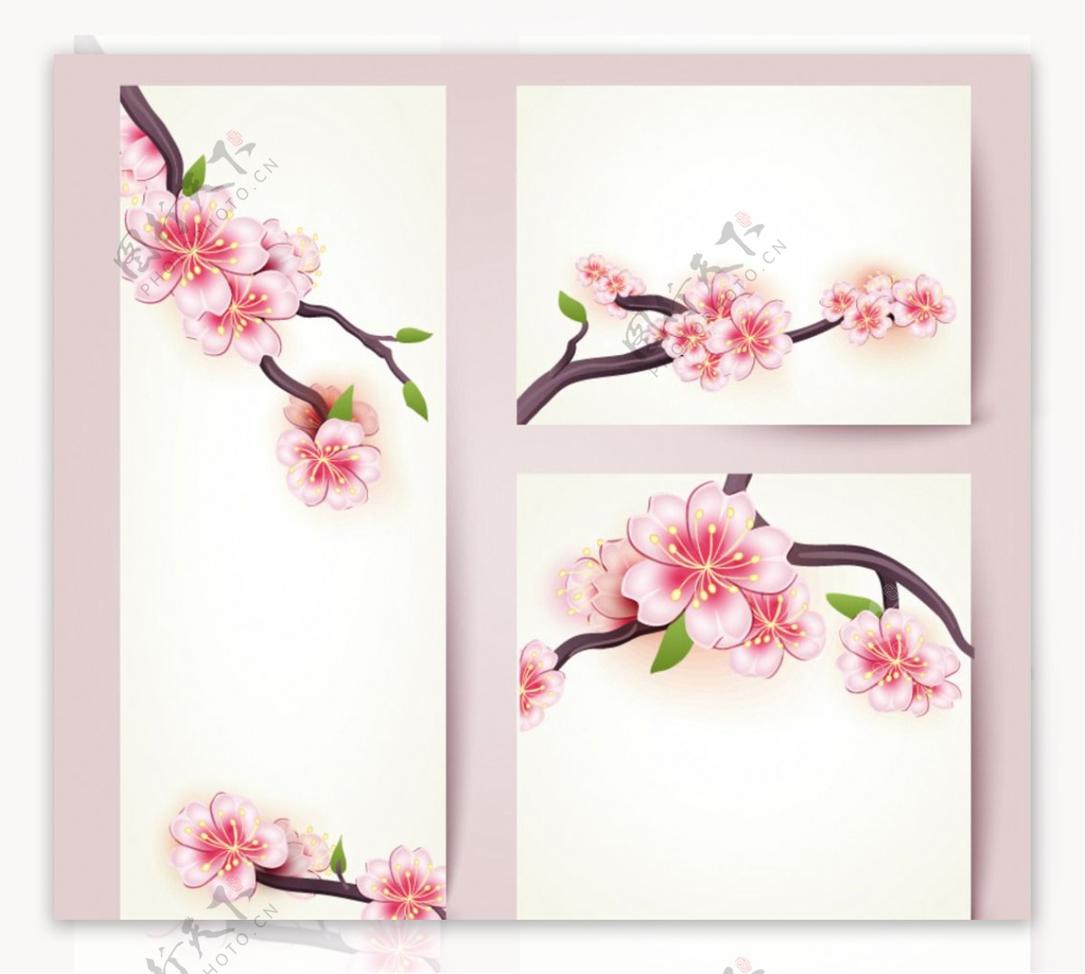 樱花花枝卡片