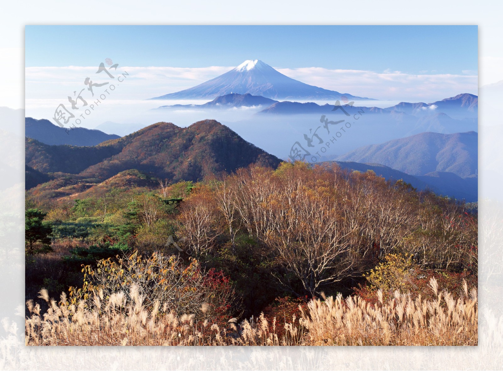 富士山图片