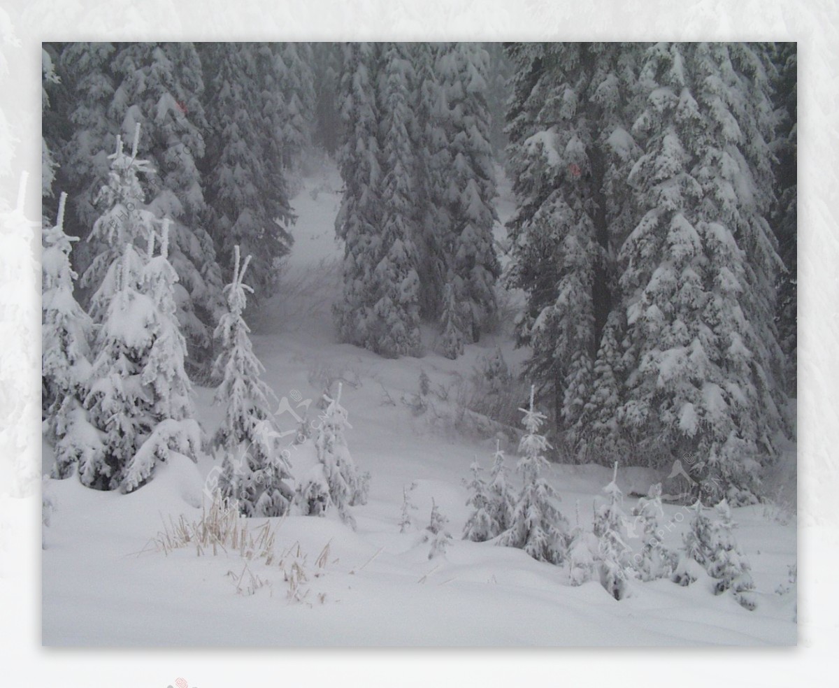 冰雪世界自然风景贴图素材JPG0299