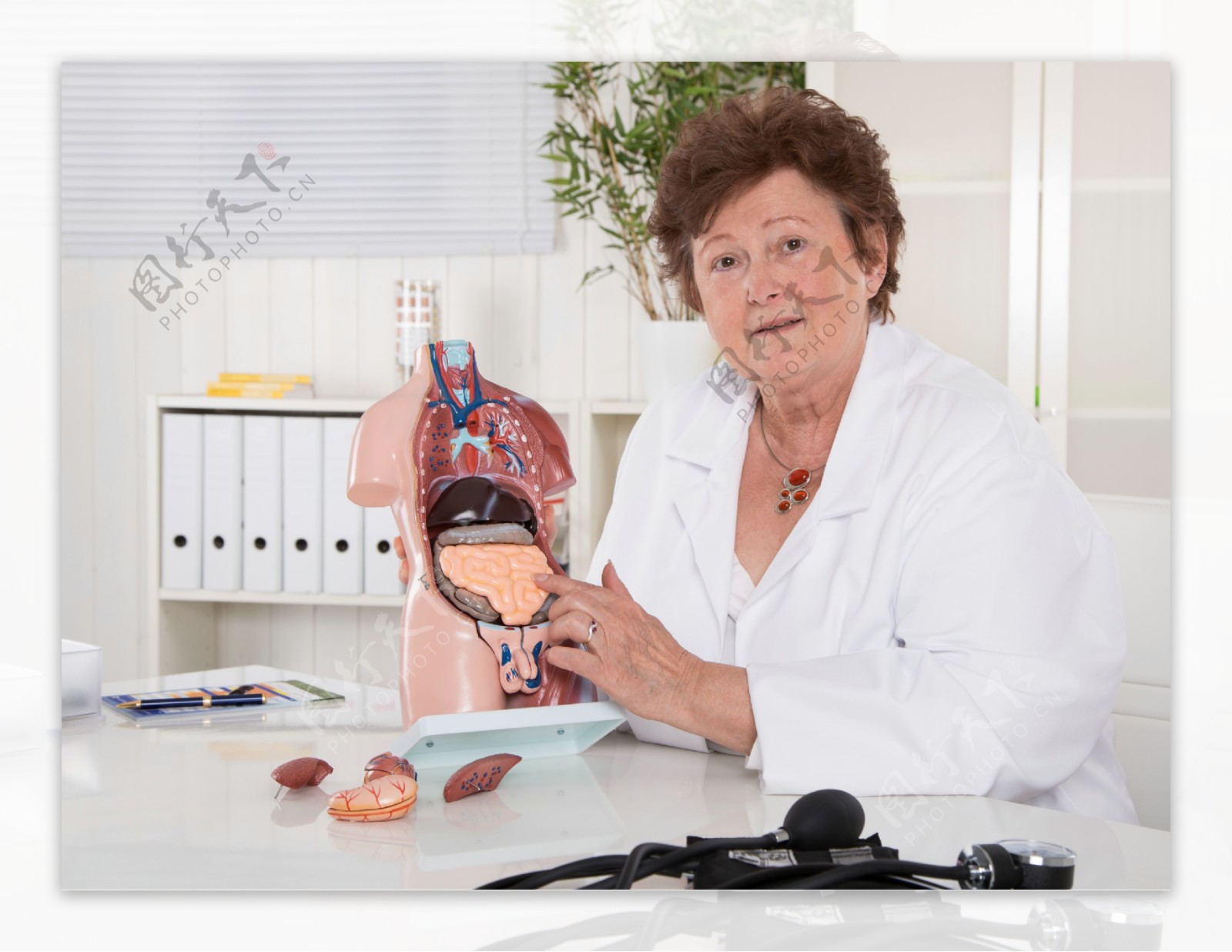 拿人体器官模板的医生图片