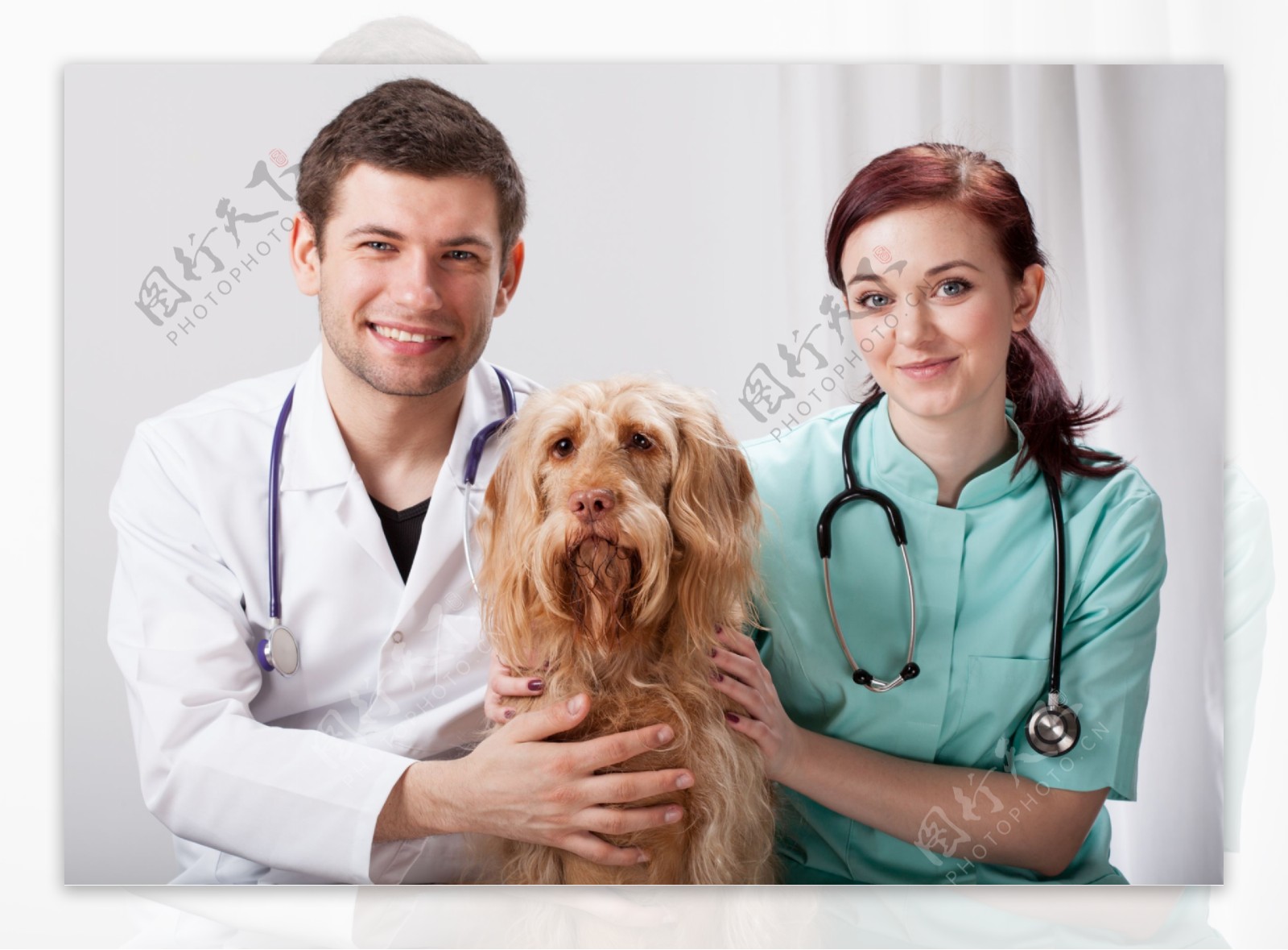 男女兽医与狗图片