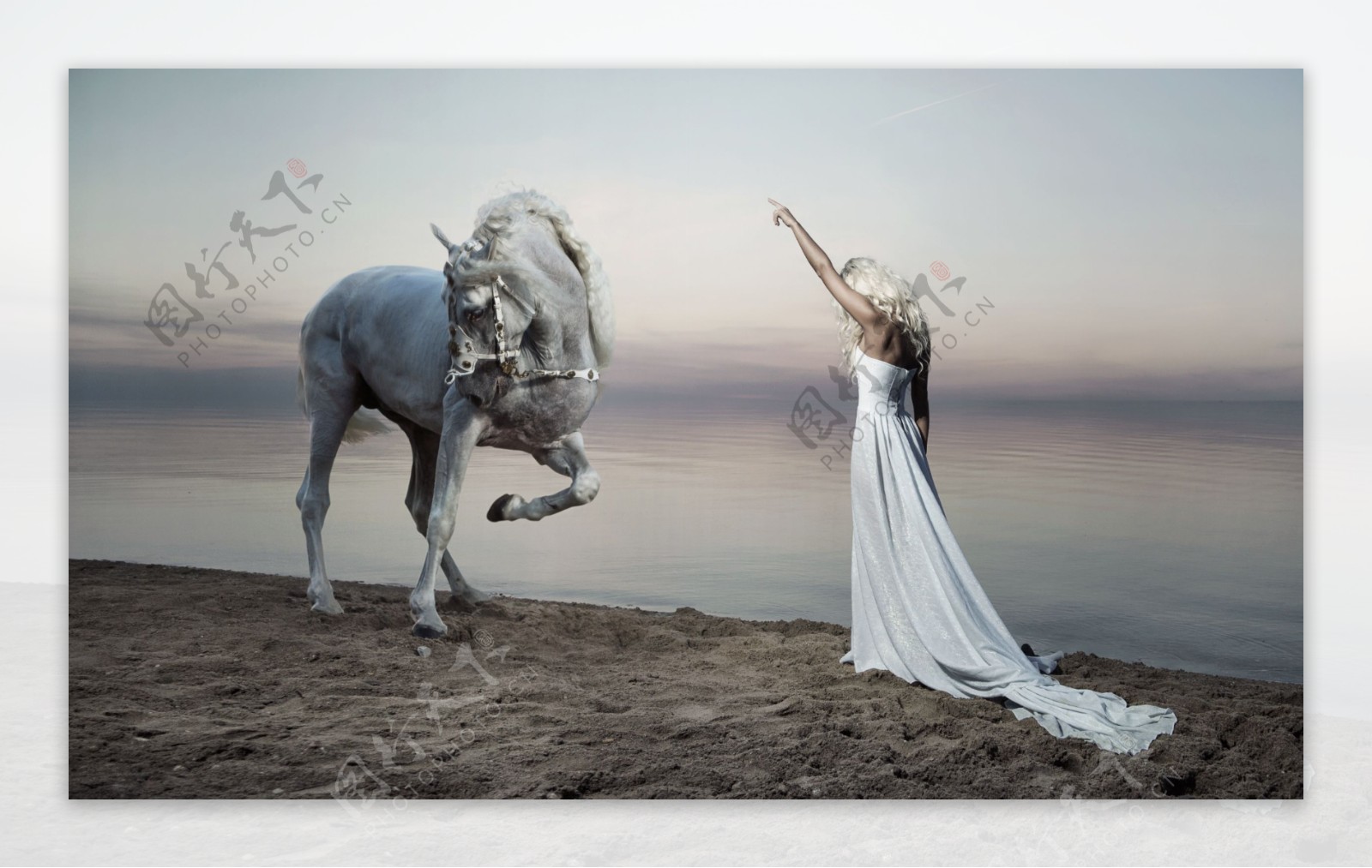 白马与婚纱美女图片