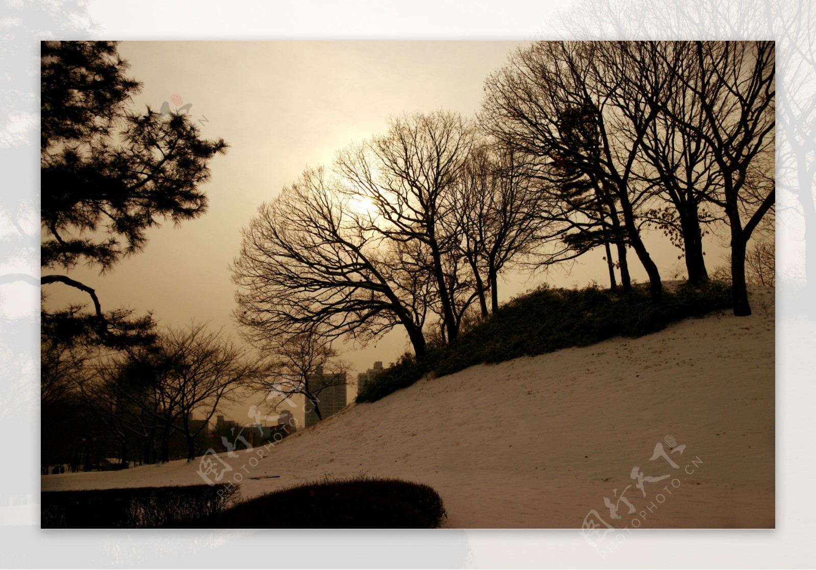 美丽冬天雪景图片