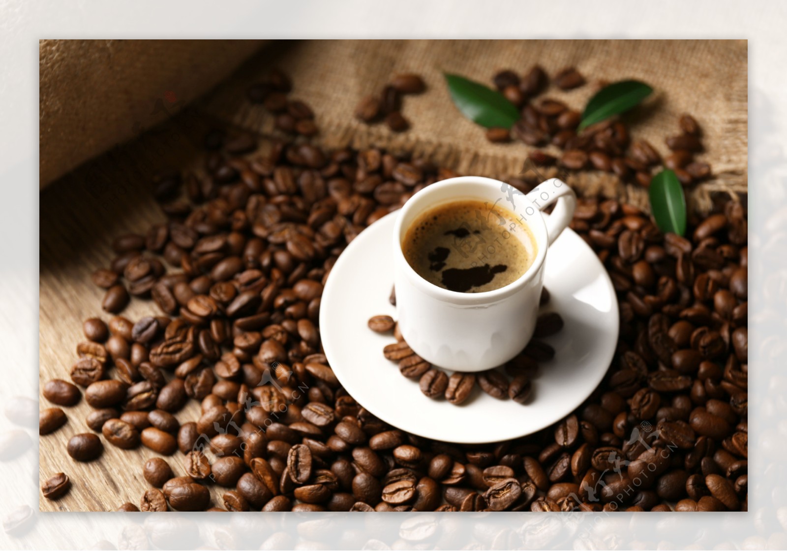 咖啡豆的咖啡图片