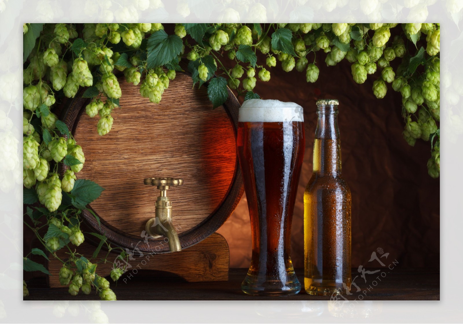 啤酒花与啤酒图片