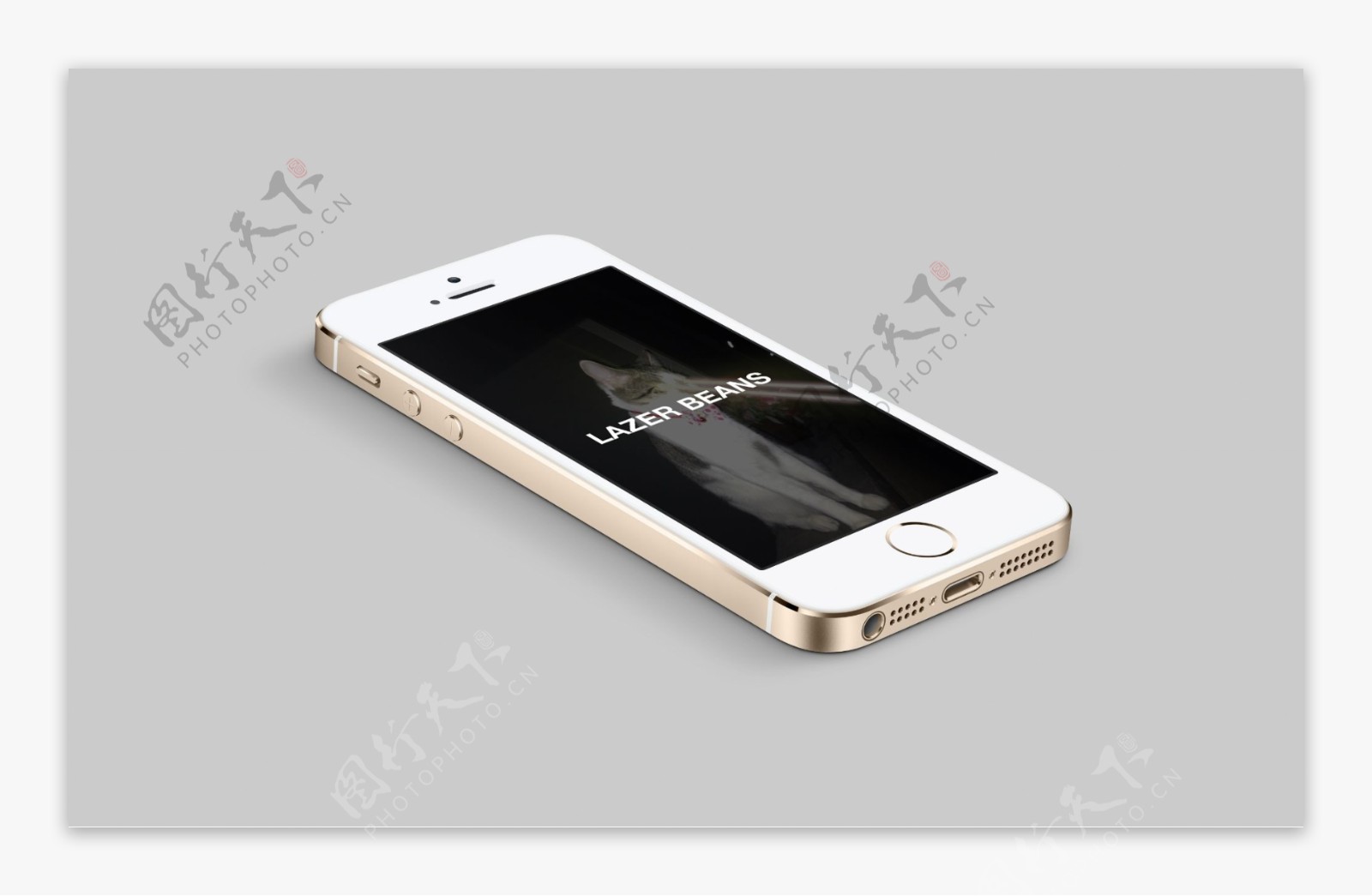 iPhone5s模型图片