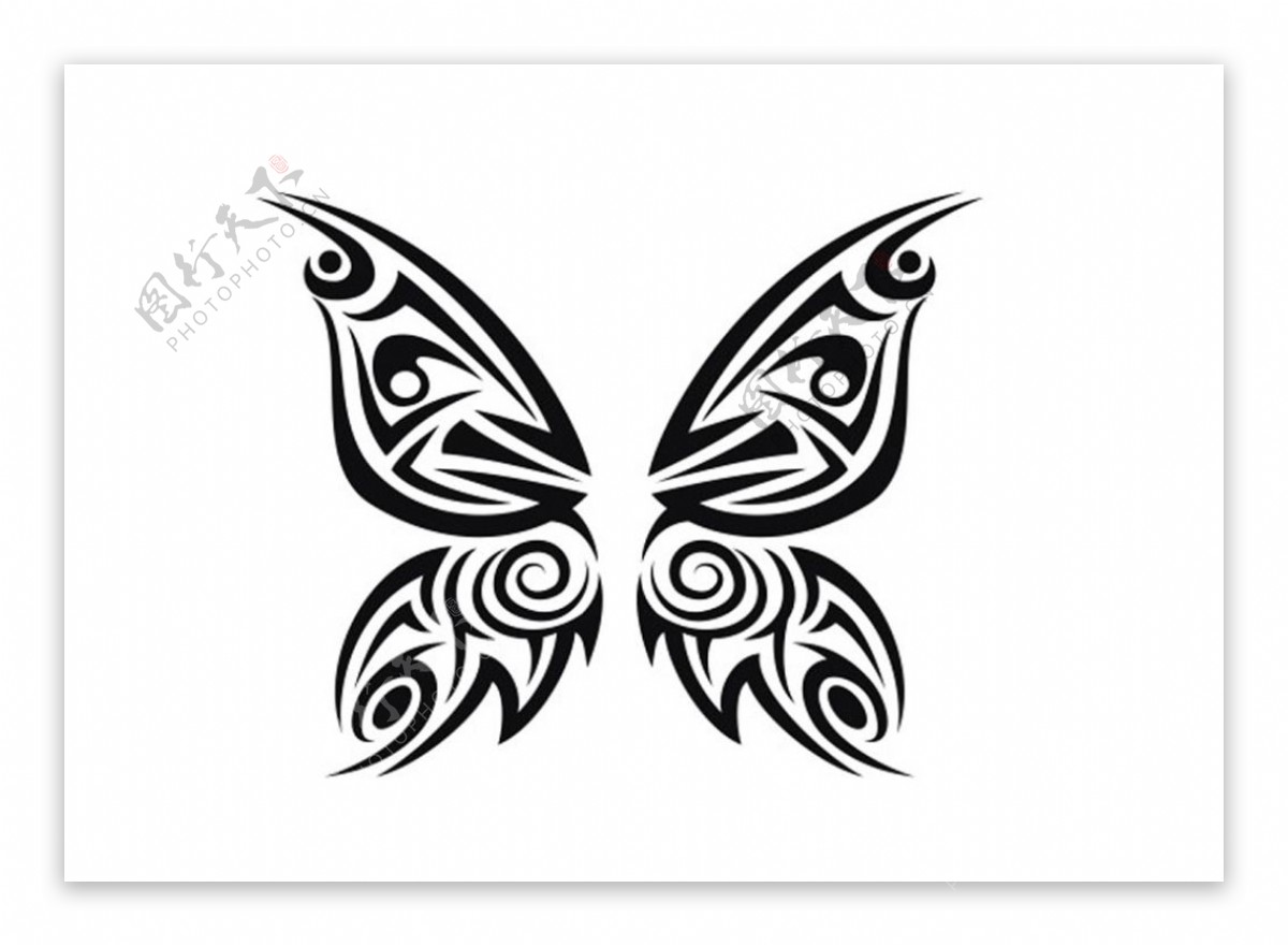 个性纹身蝴蝶图案