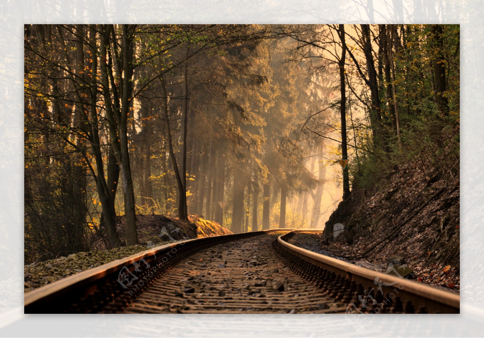 森林中的铁路