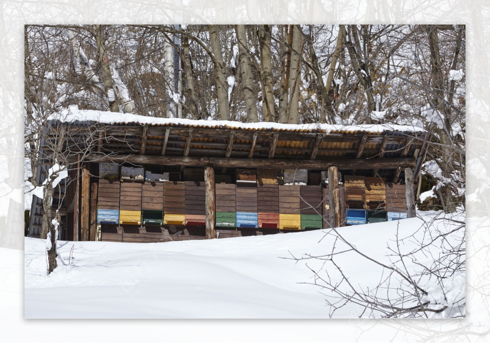 冬季的小木屋