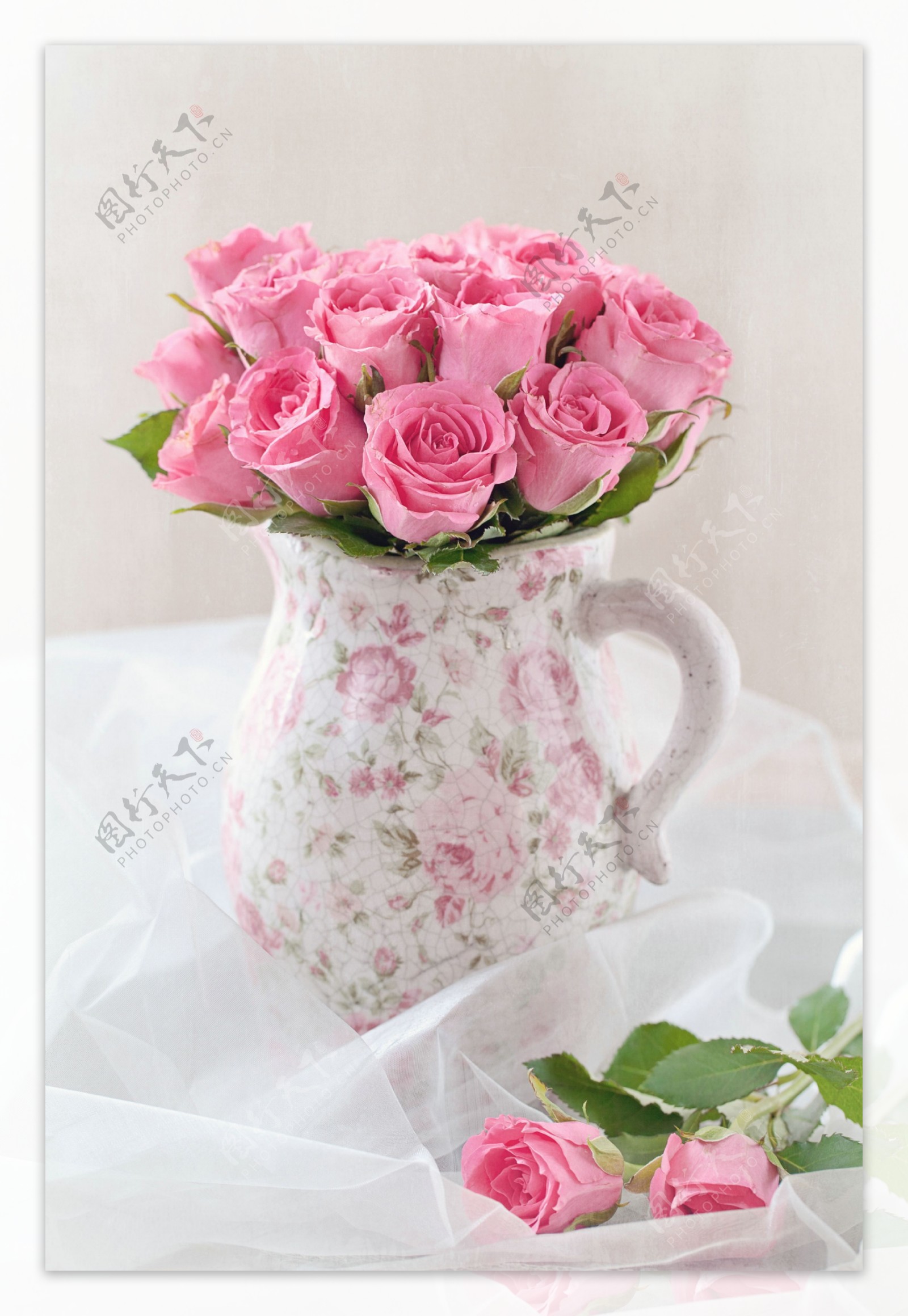唯美的粉色玫瑰高清图片