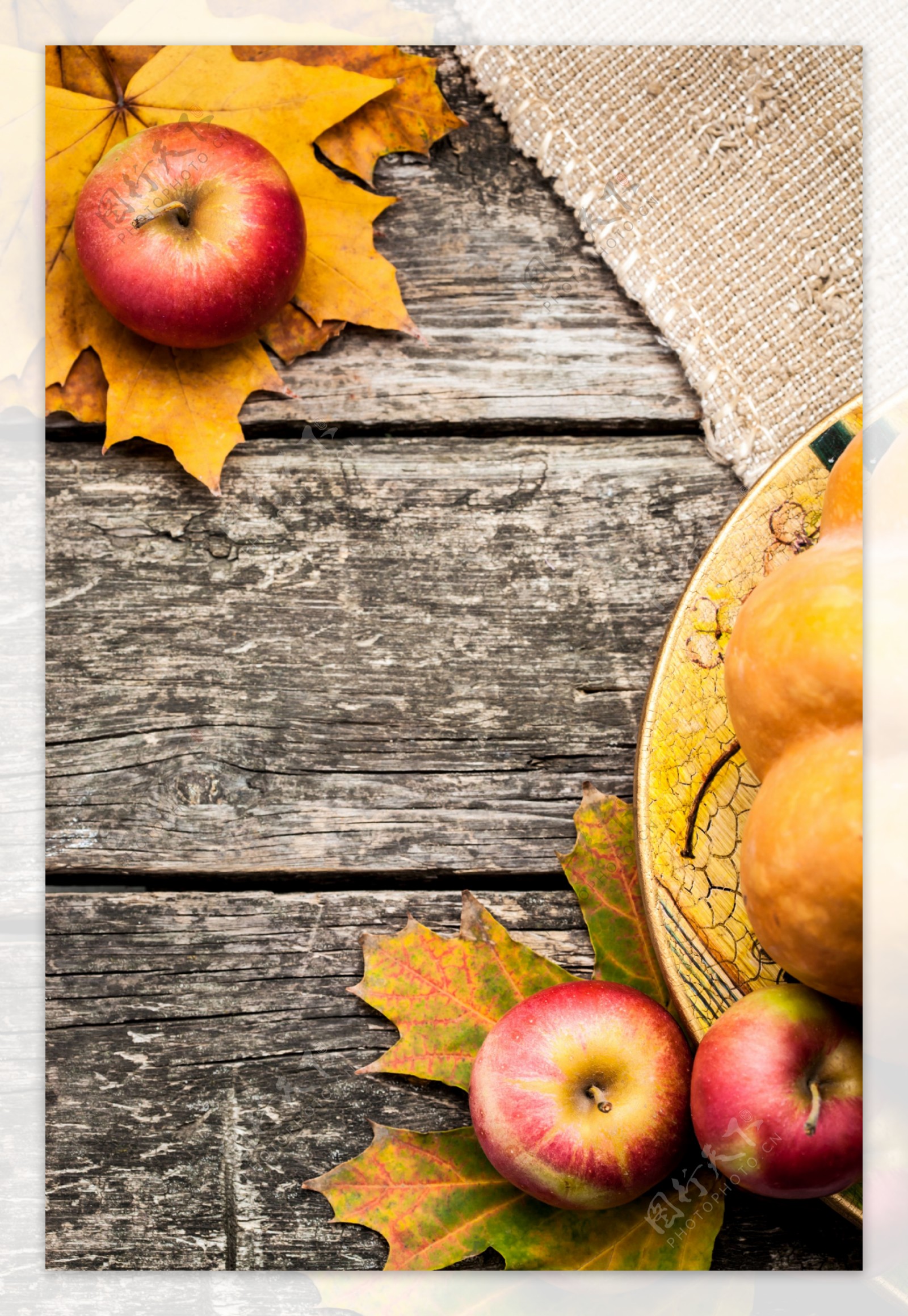 秋天树叶与苹果摄影