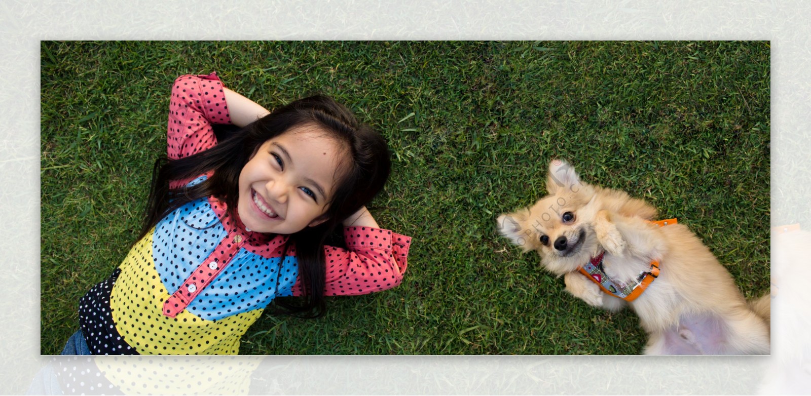躺在草坪上的小女孩与小狗图片