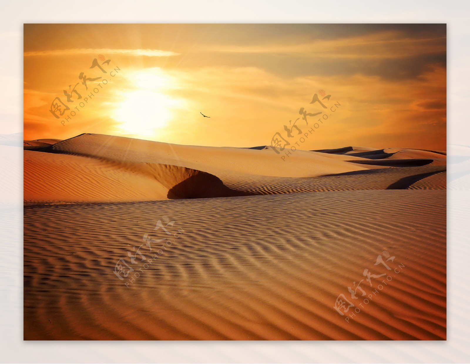 唯美沙漠夕阳风景图片