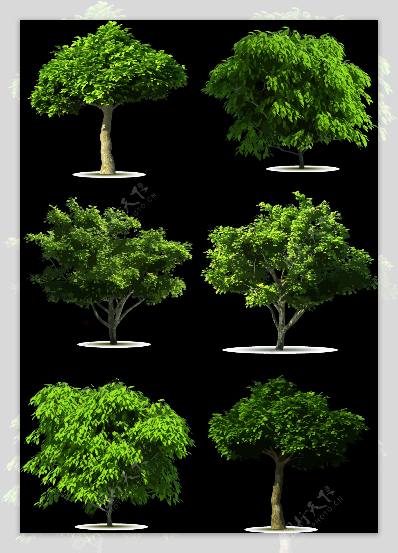 写实风格大树免抠png透明图层素材