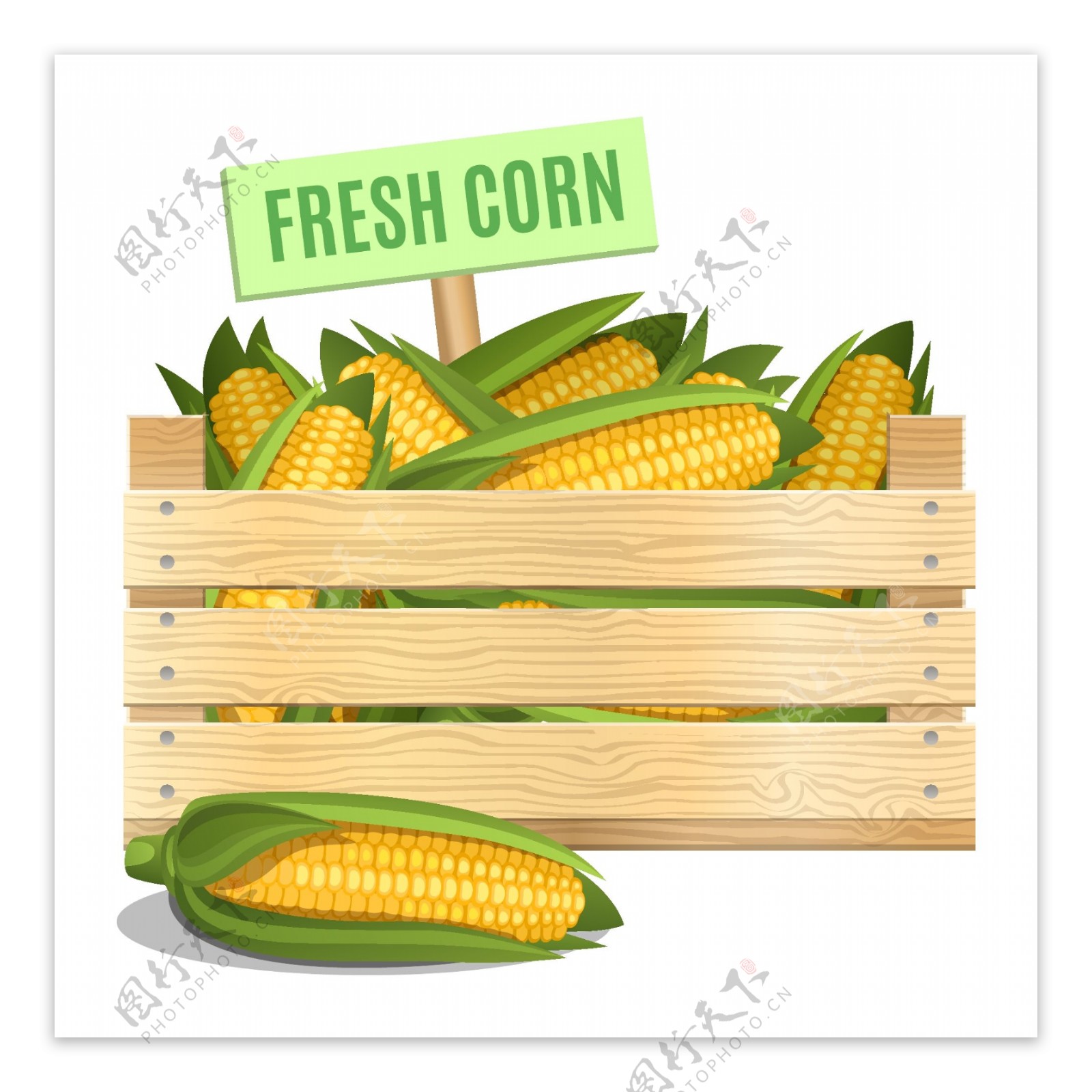 新鲜玉米图案矢量素材下载