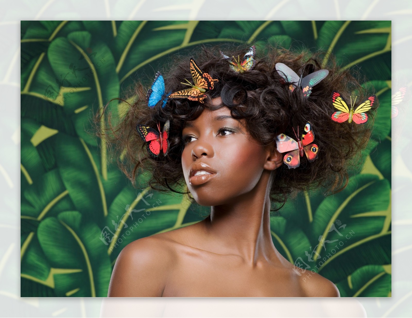 头上落满蝴蝶的黑人女孩图片