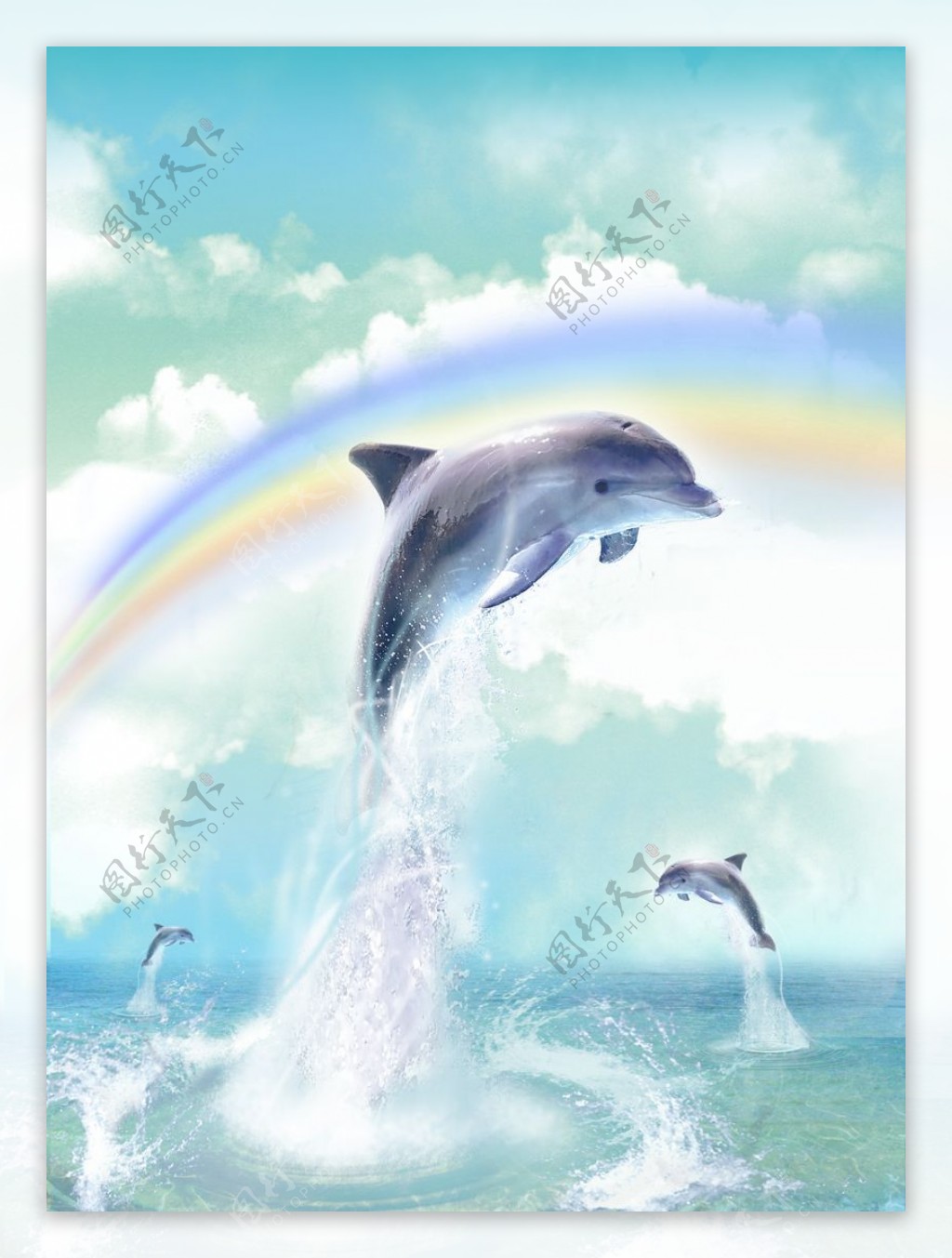 海豚海报