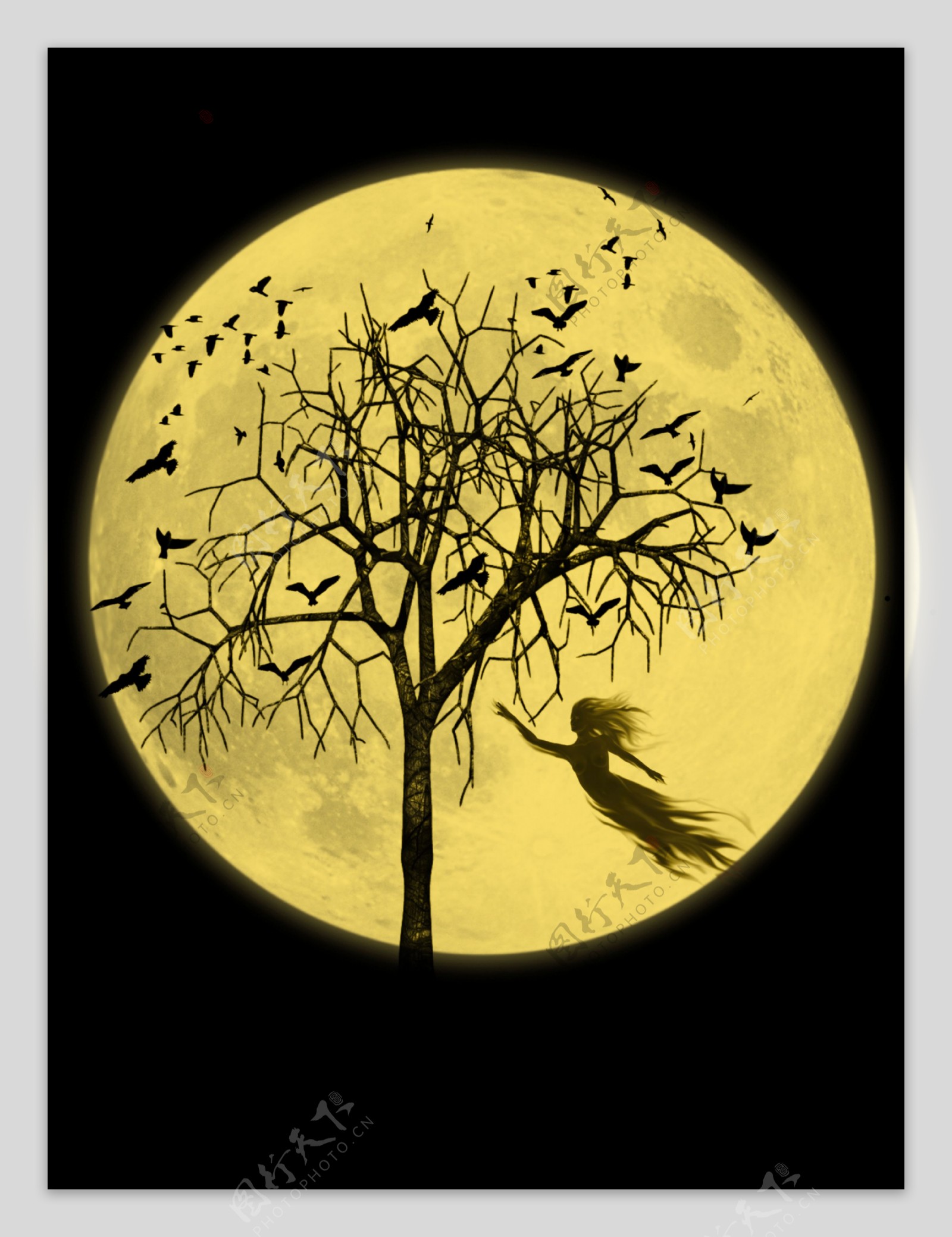 月亮树木乌鸦图片
