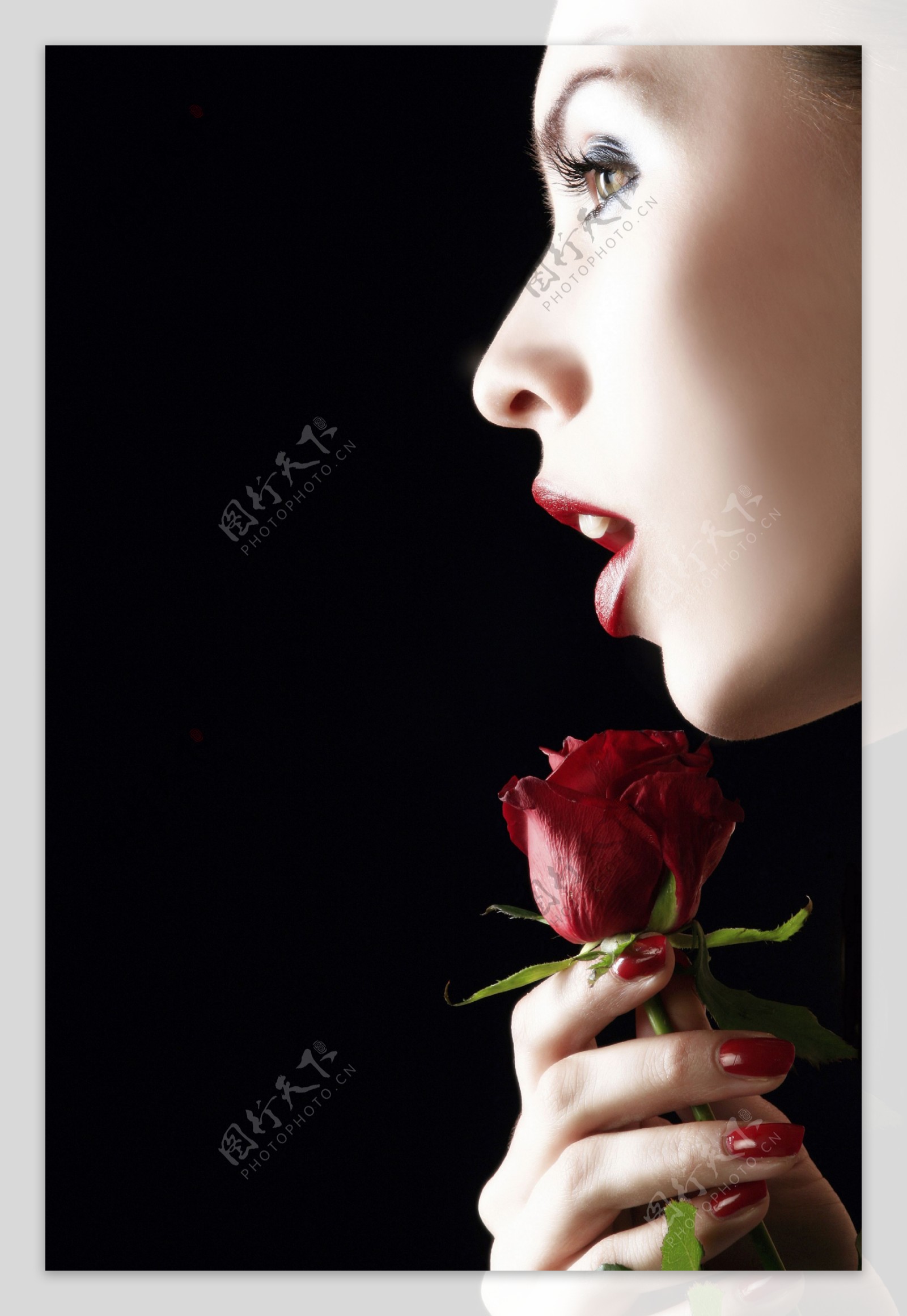 女性性感嘴唇与玫瑰花特写图片