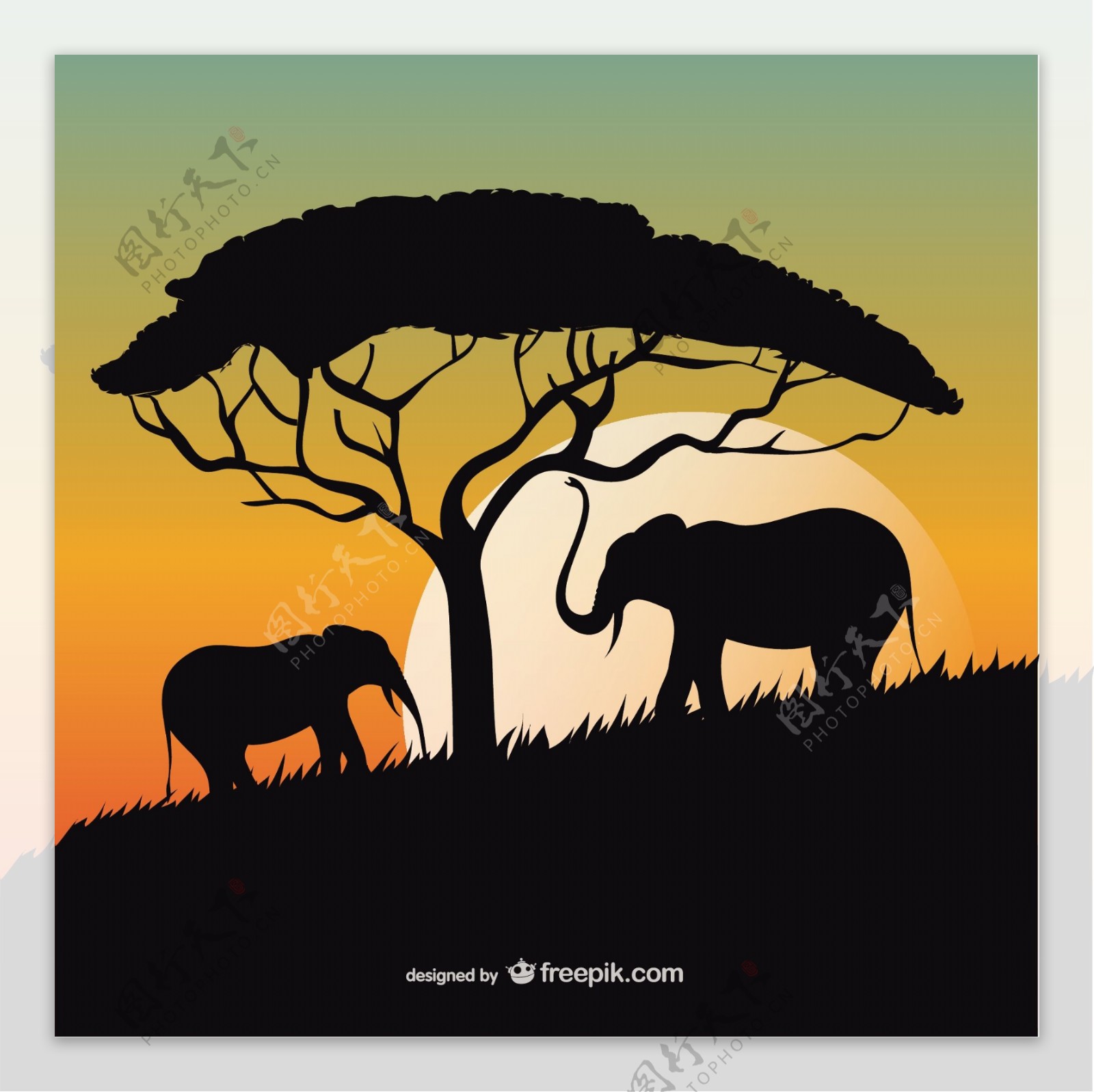 非洲日落与大象和树的剪影