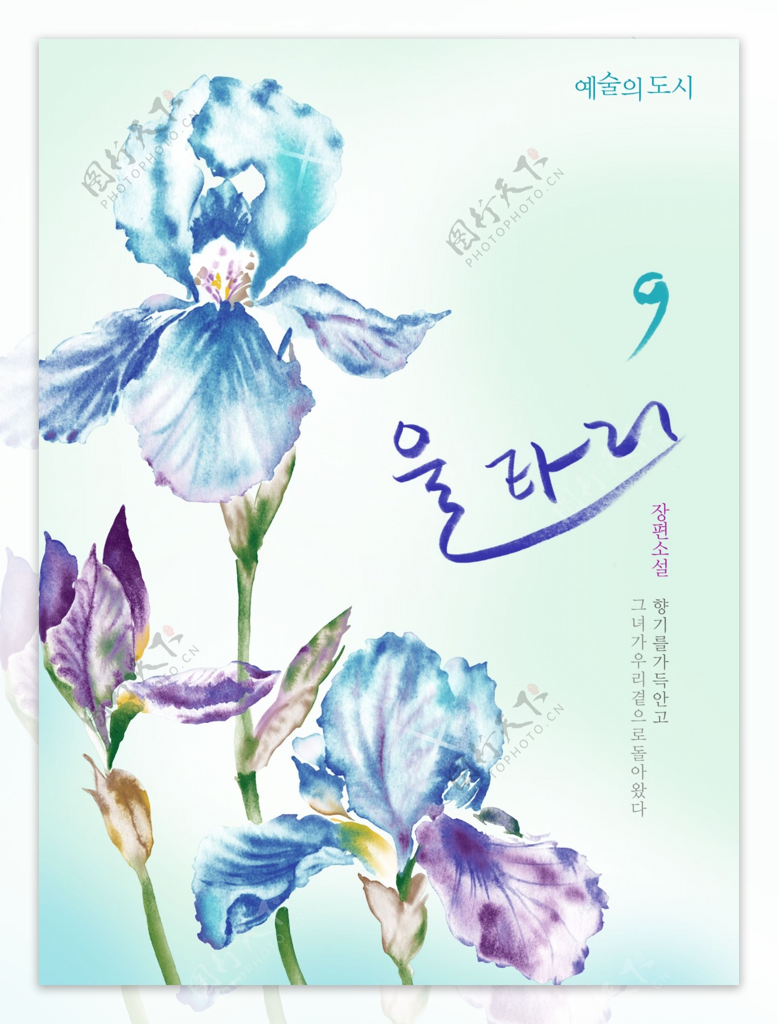 韩式蓝色花朵