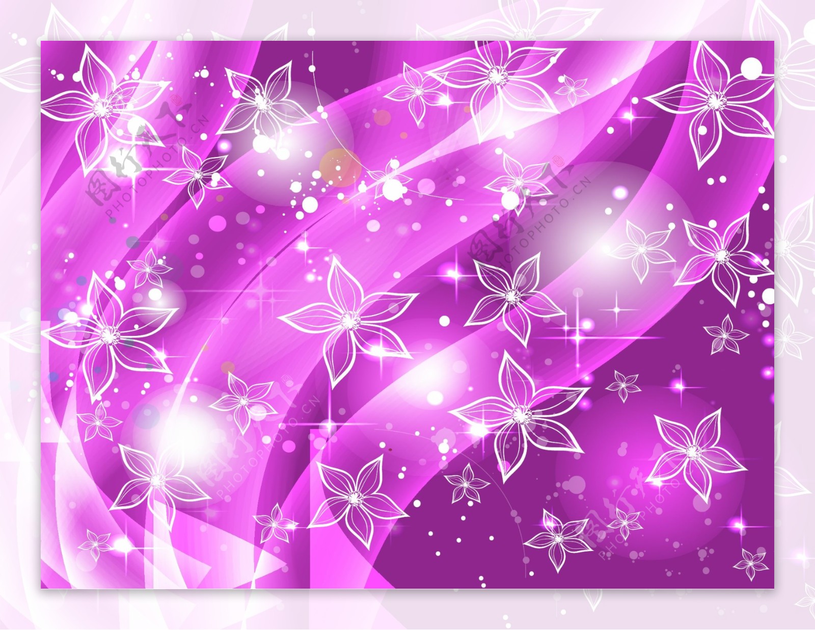 紫色花星背景