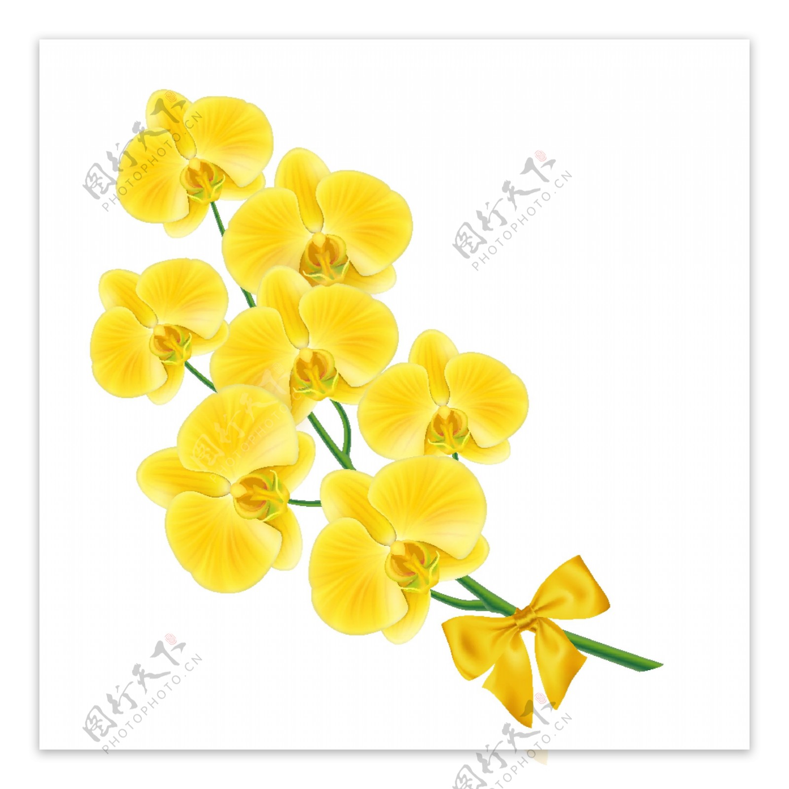 黄色的花设计