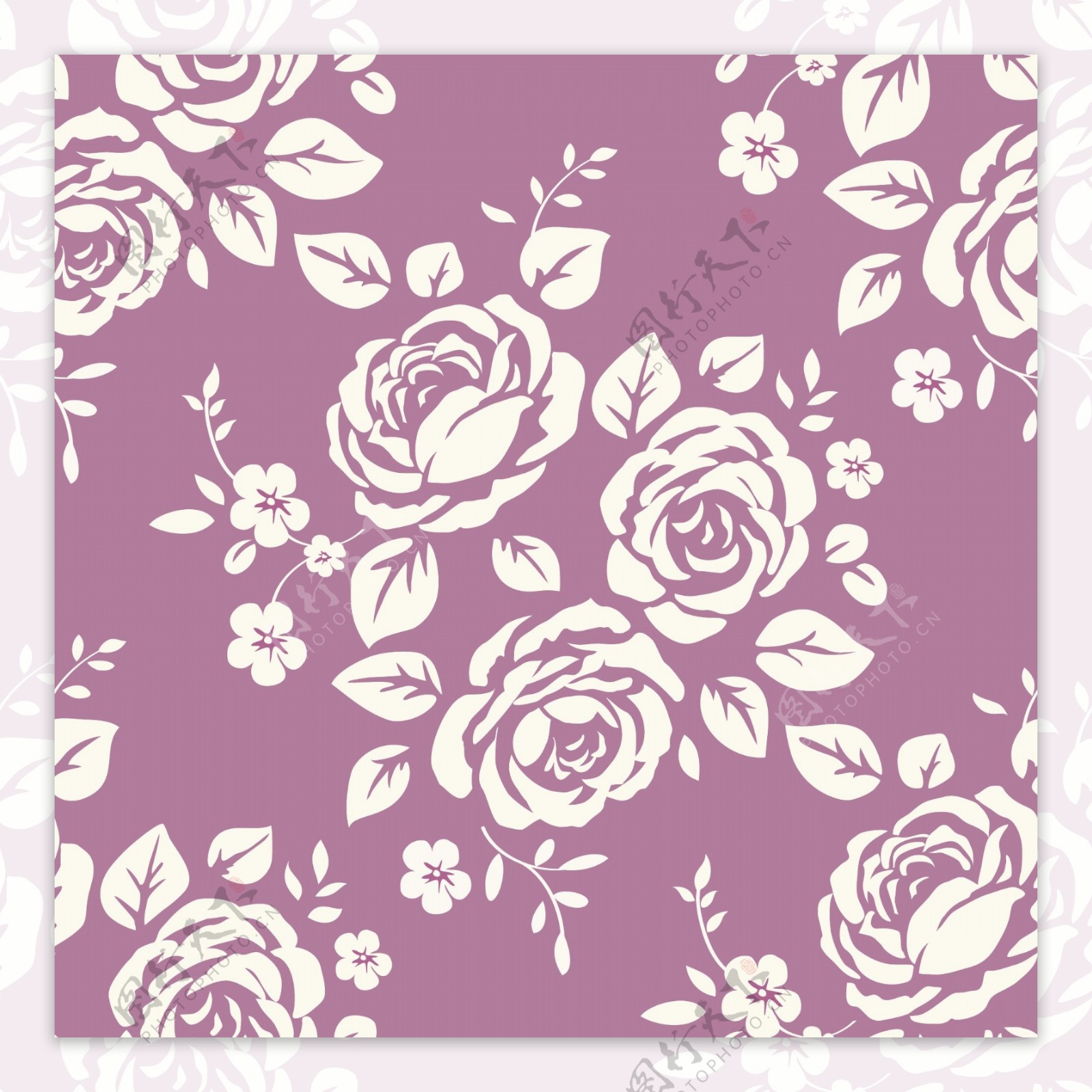 紫色玫瑰花纹