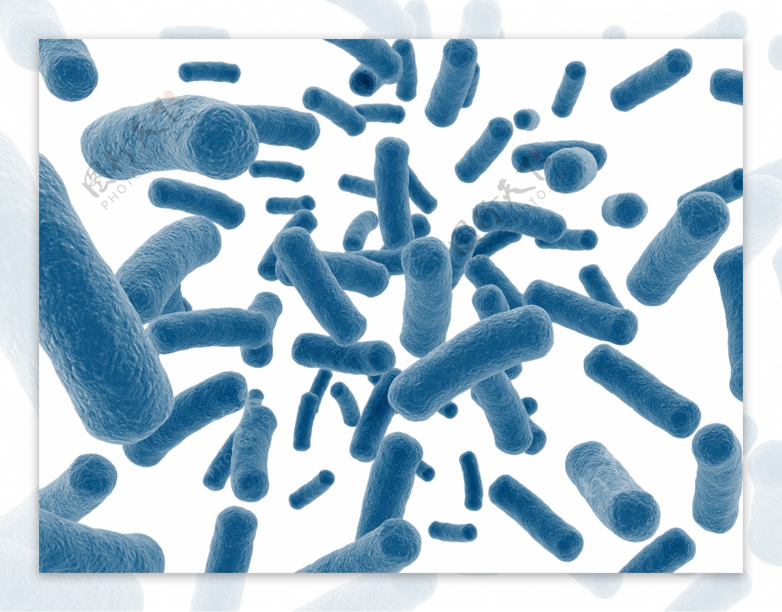 天蓝色虫形微生物图片