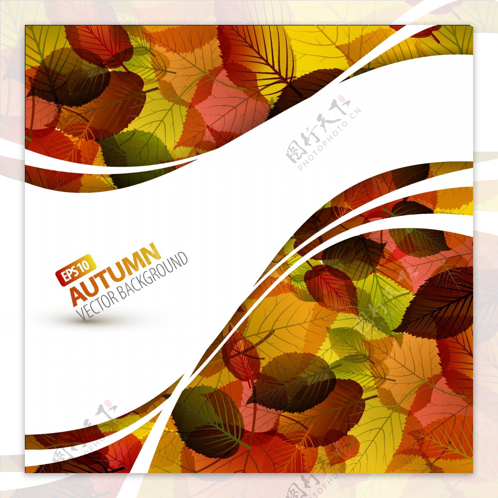 秋天美丽的叶子主题背景矢量免费